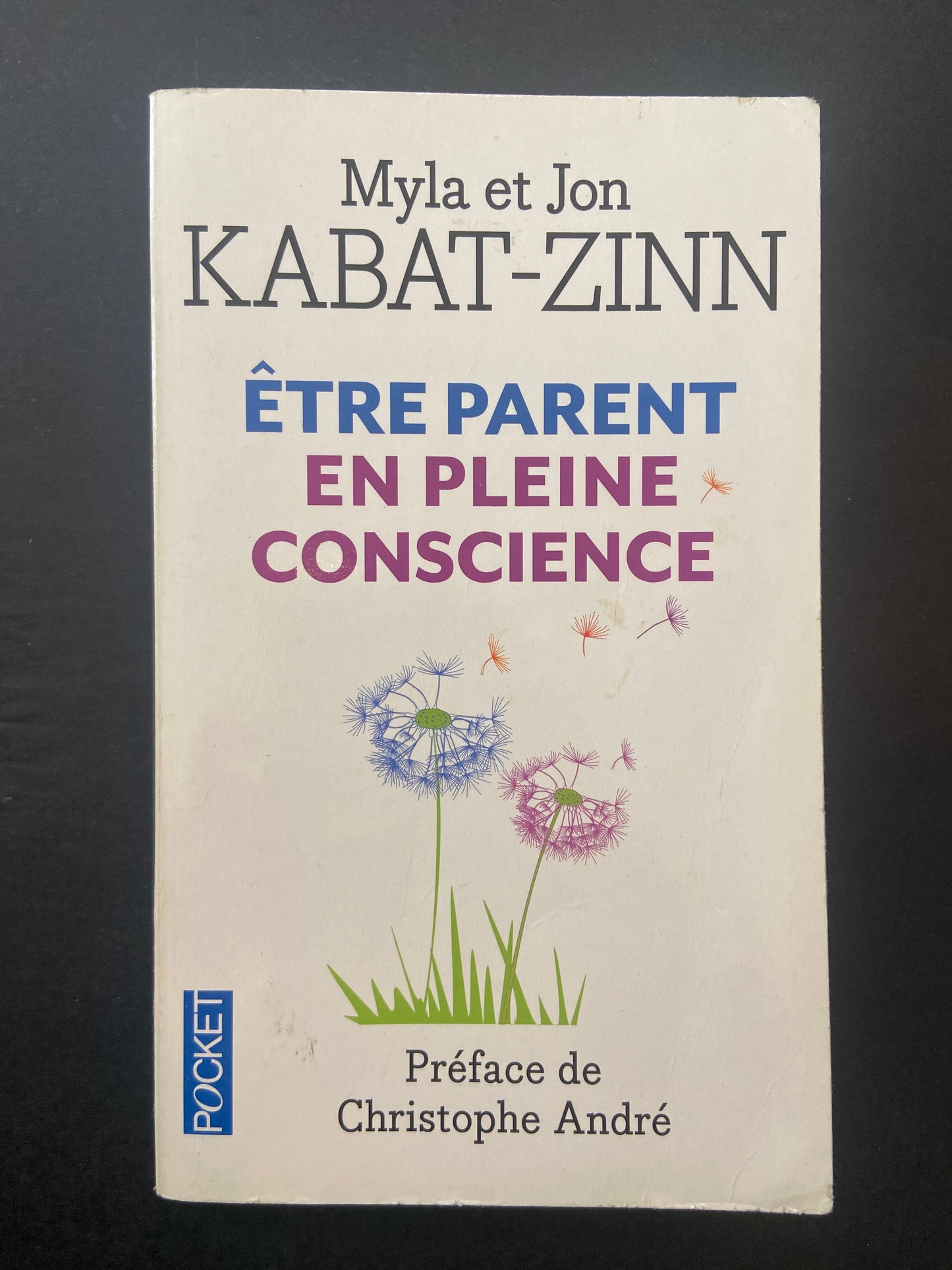 ÊTRE PARENT EN PLEINE CONSCIENCE