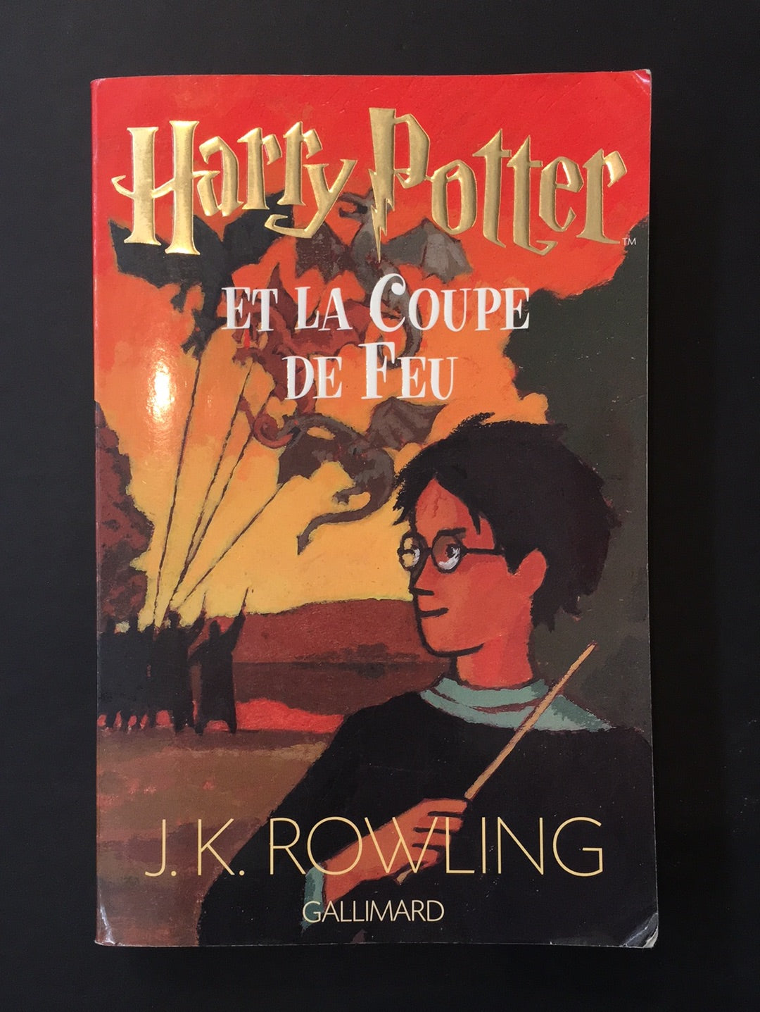 HARRY POTTER - TOME 04 - ET LA COUPE DE FEU