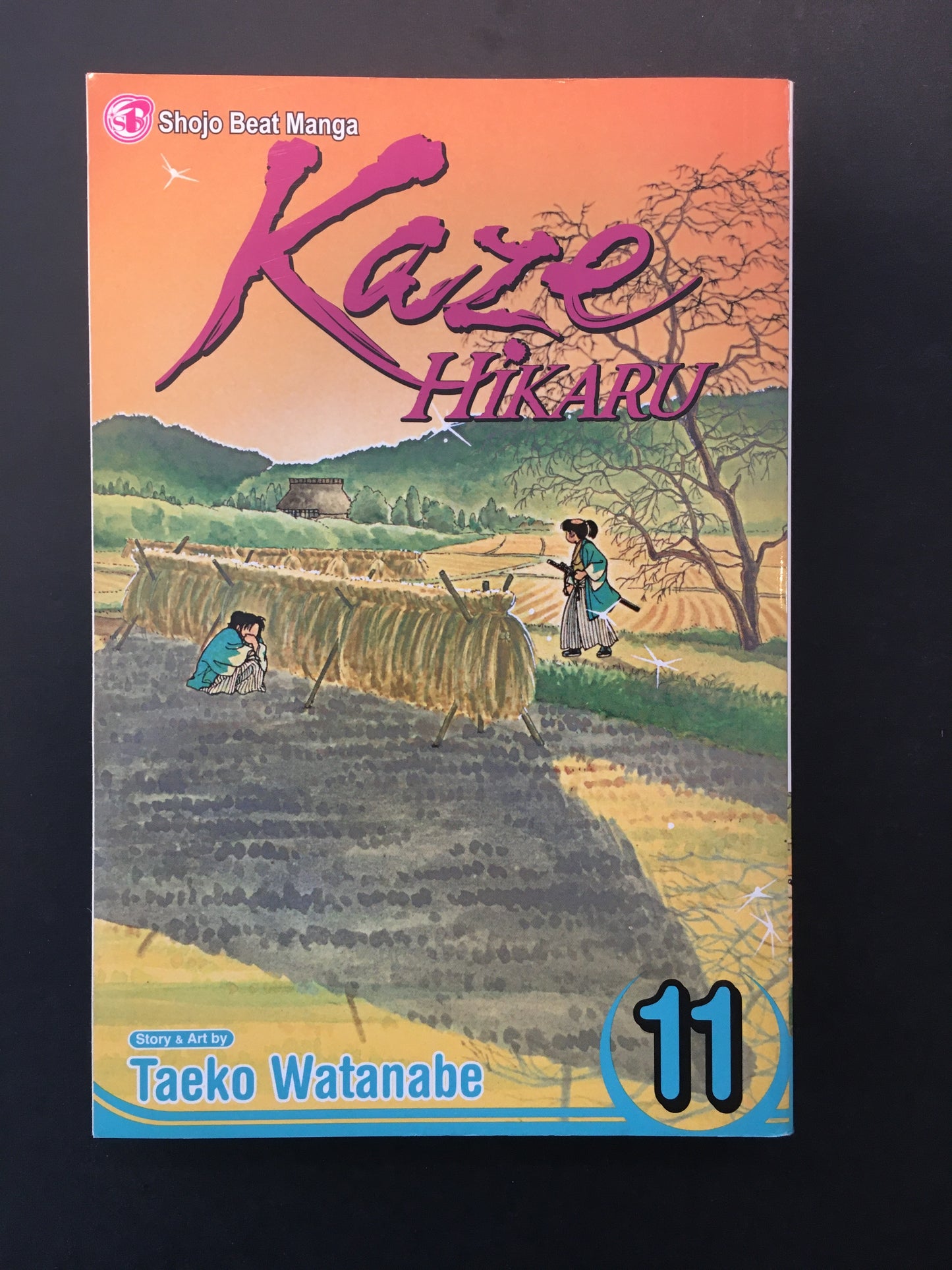 KAZE HIKARU - T.11