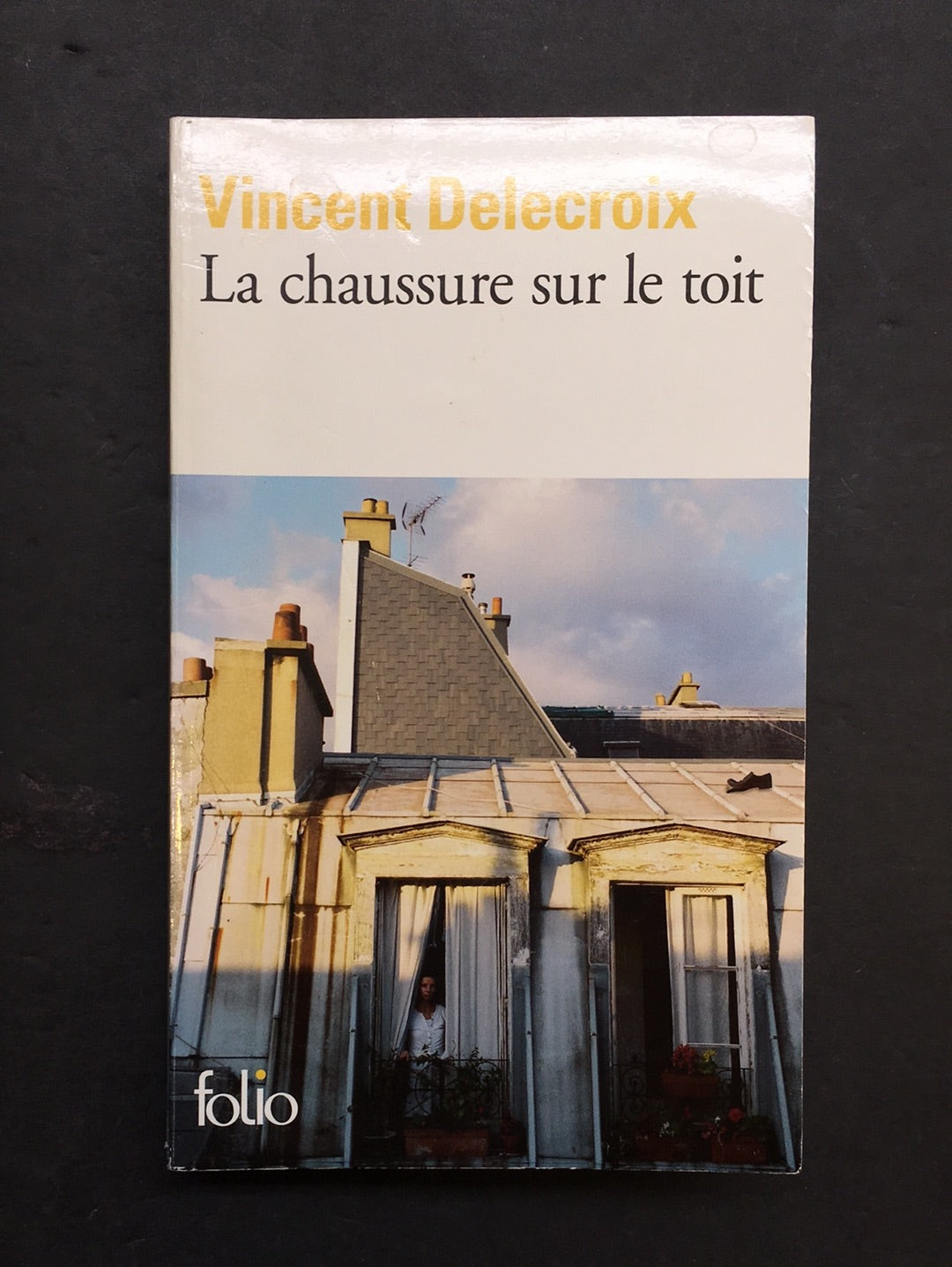 LA CHAUSSURE SUR LE TOIT