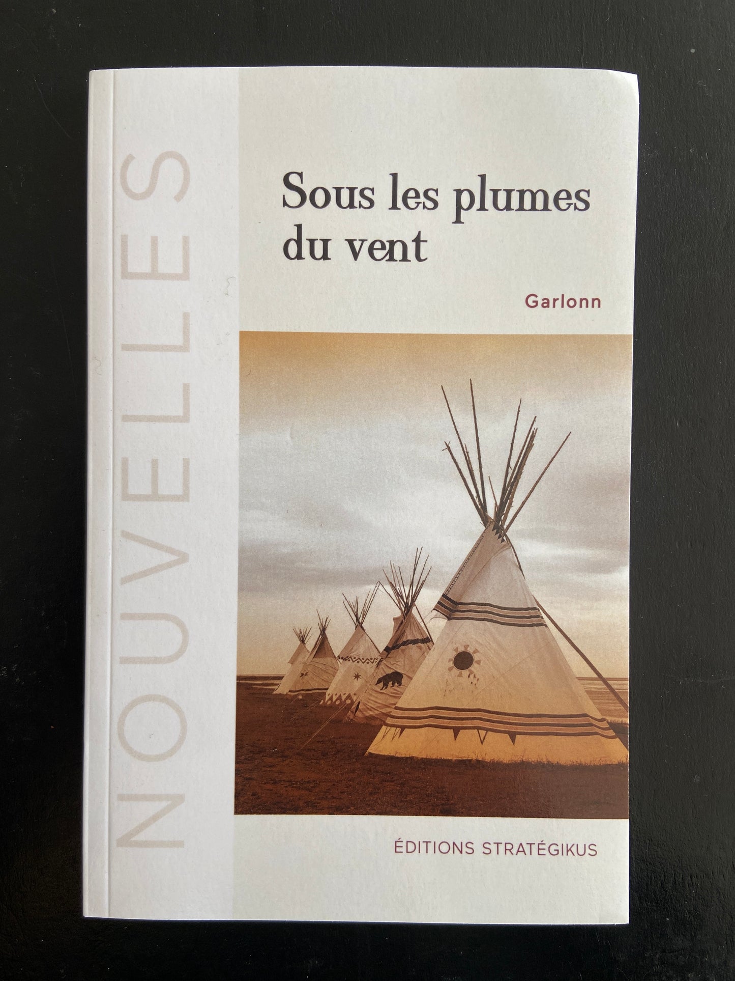 SOUS LES PLUMES DU VENT