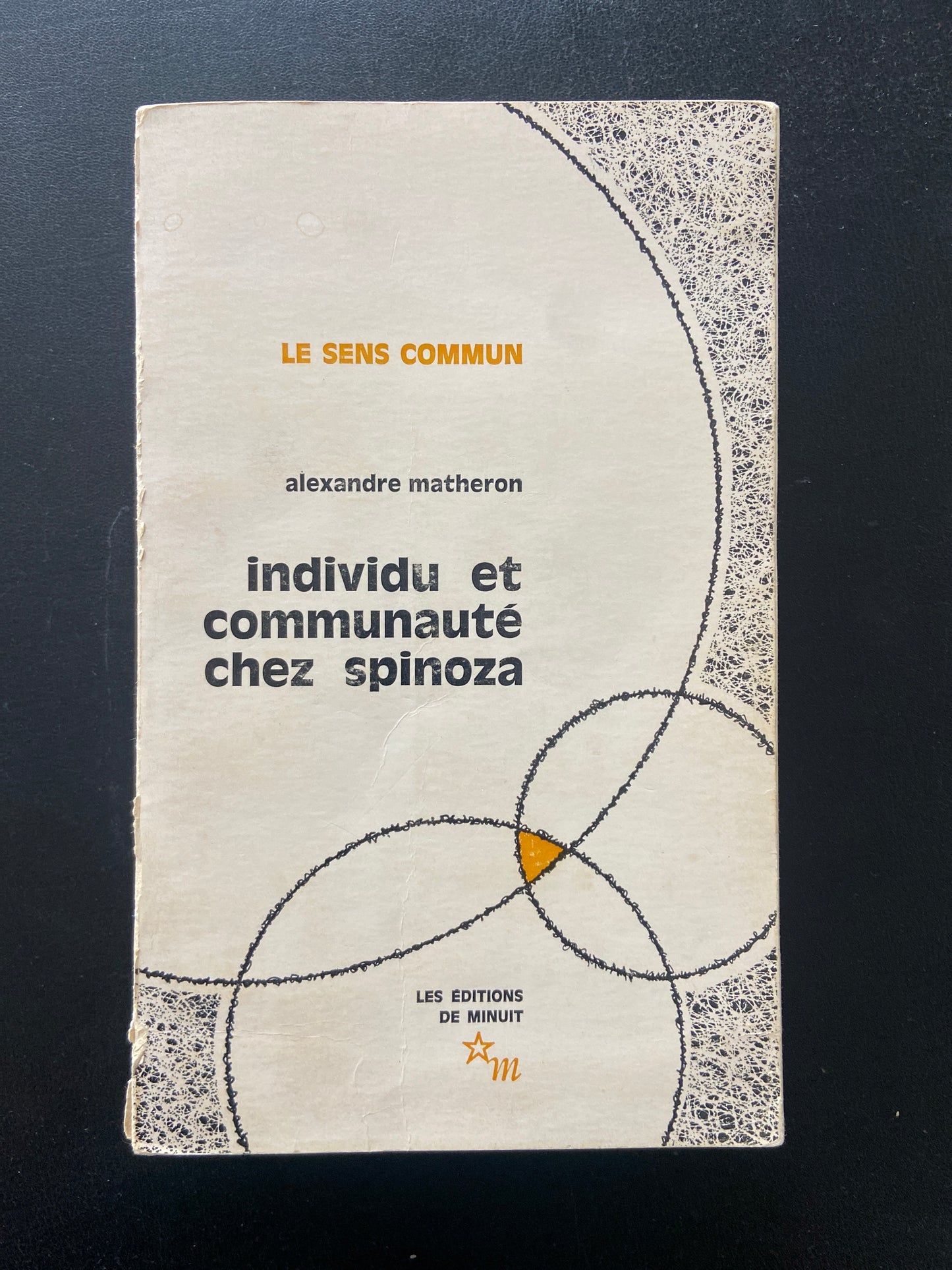 INDIVIDU ET COMMUNAUTÉ CHEZ SPINOZA
