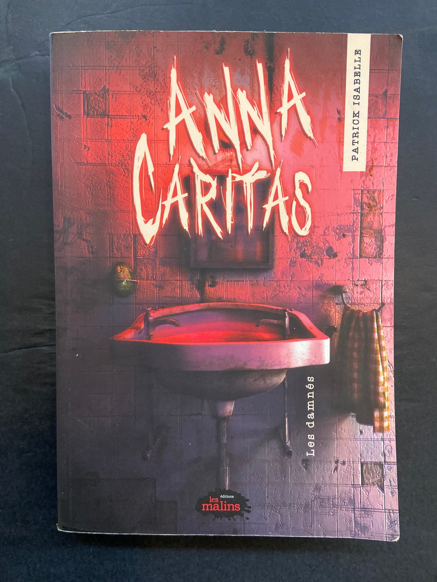 ANNA CARITAS - T.02 LES DAMNÉS