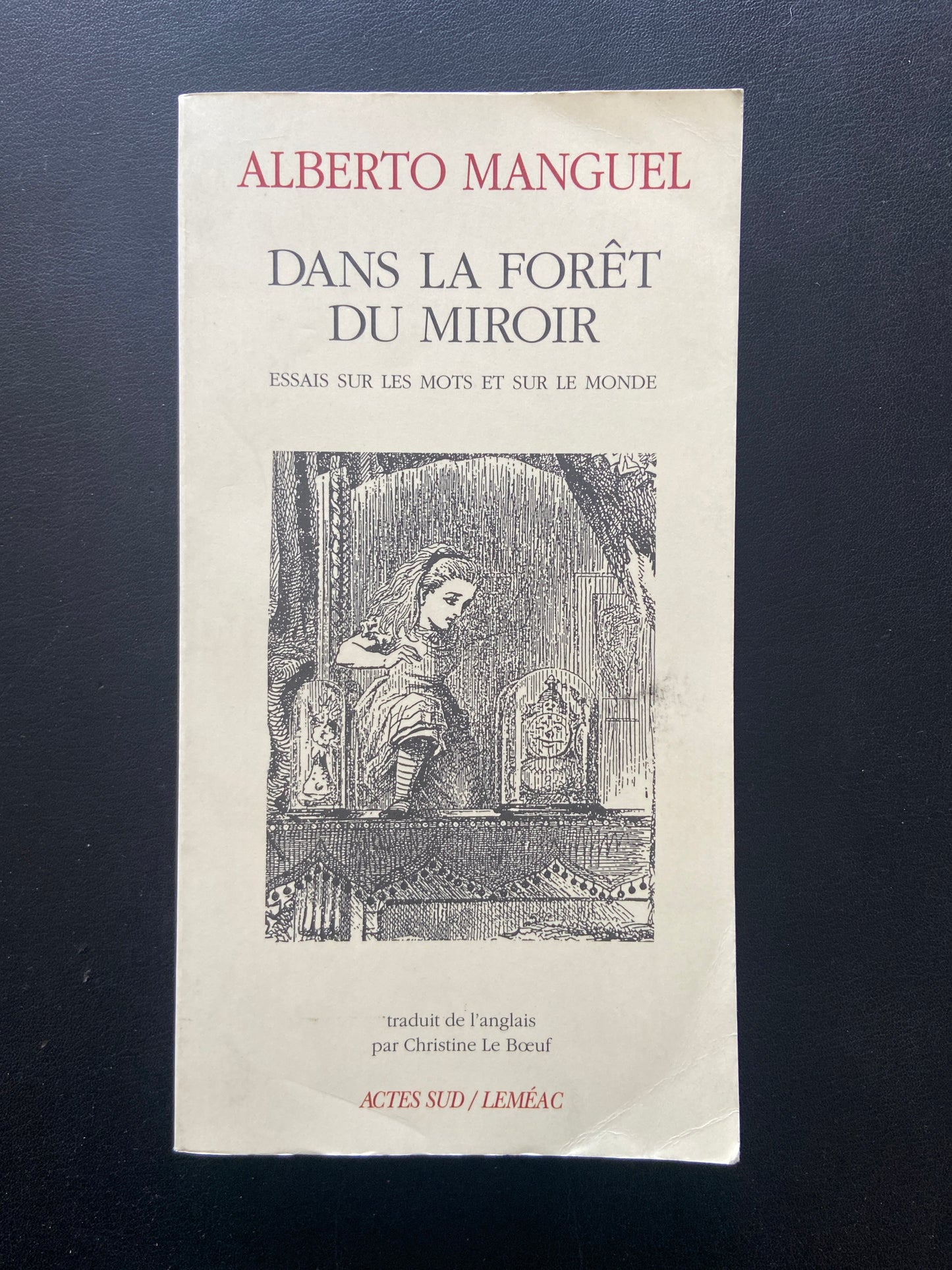 DANS LA FORÊT DU MIROIR