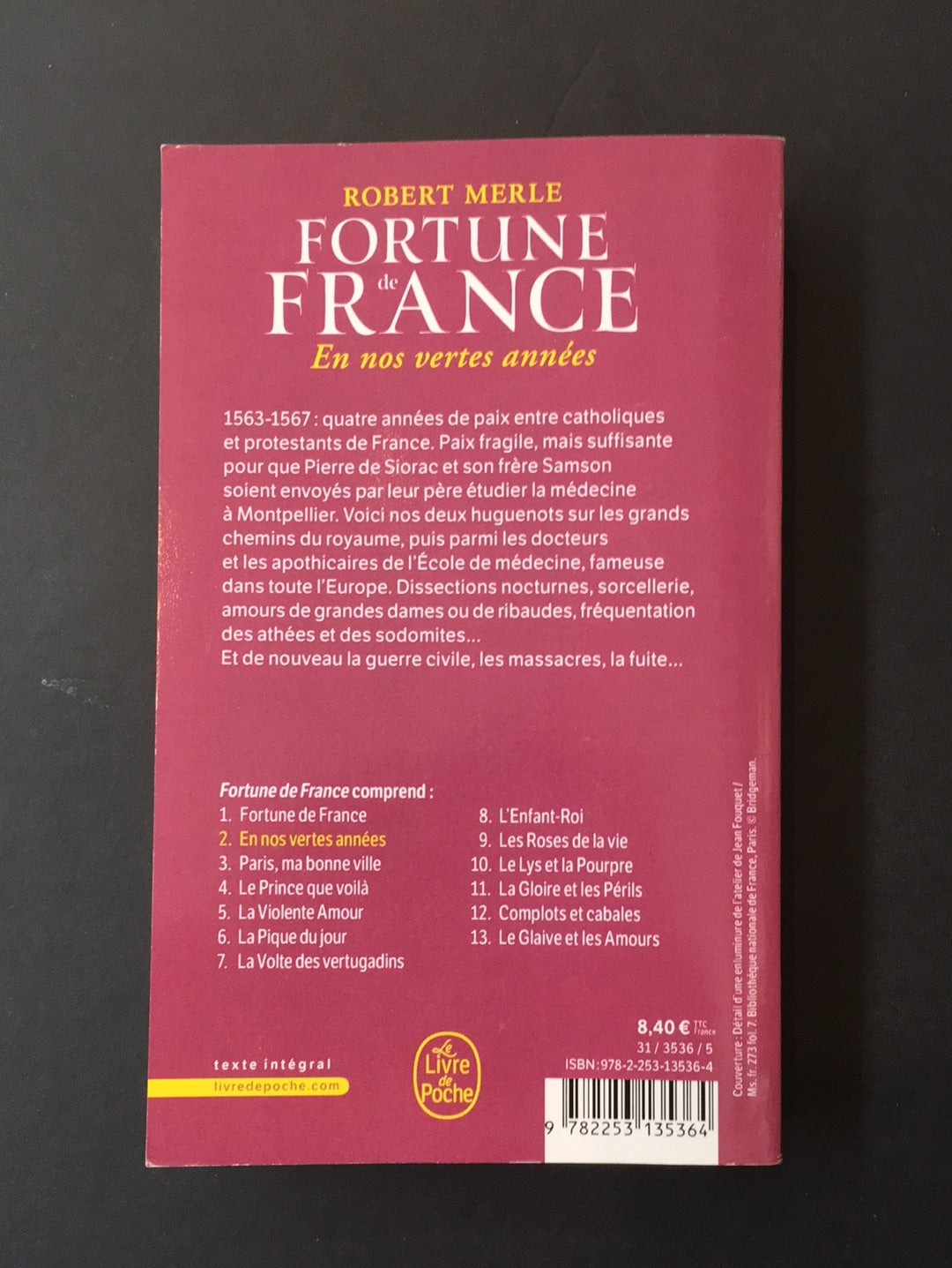 FORTUNE DE FRANCE - TOME 02 - EN NOS VERTES ANNÉES