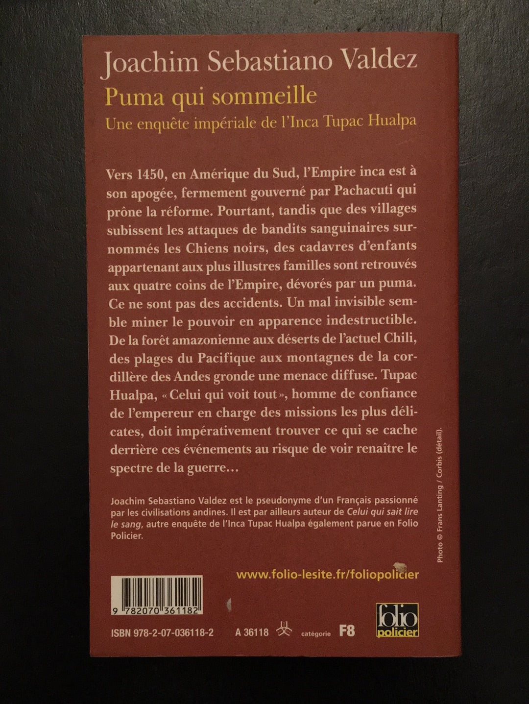 PUMA QUI SOMMEILLE
