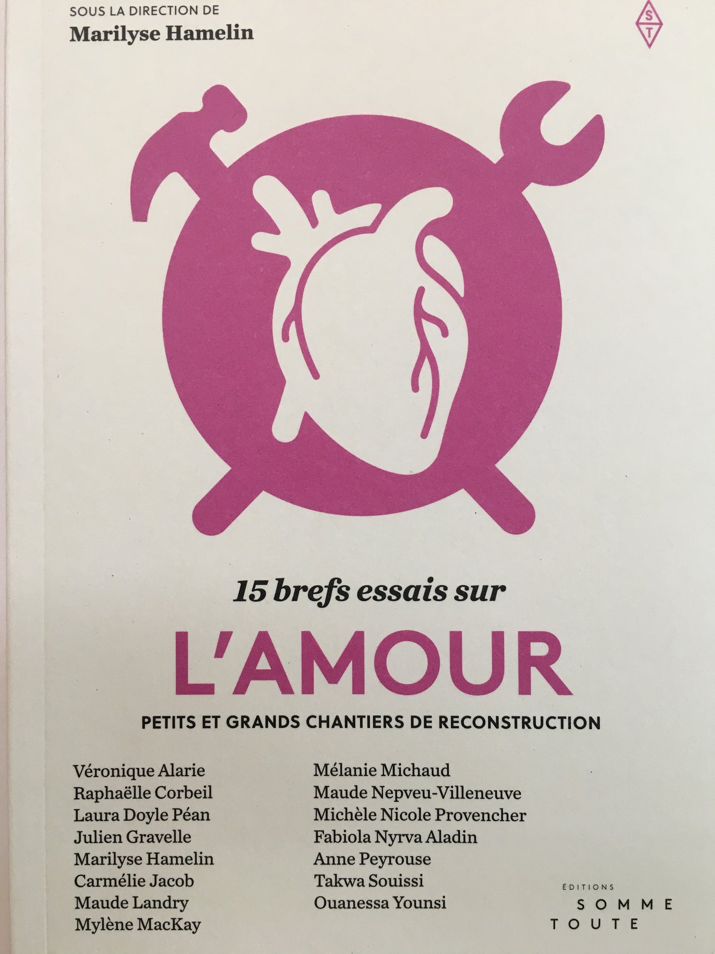 15 BREFS ESSAIS SUR L'AMOUR