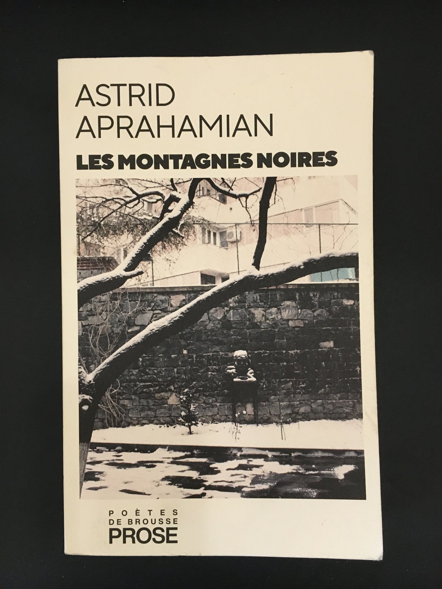 LES MONTAGNES NOIRES
