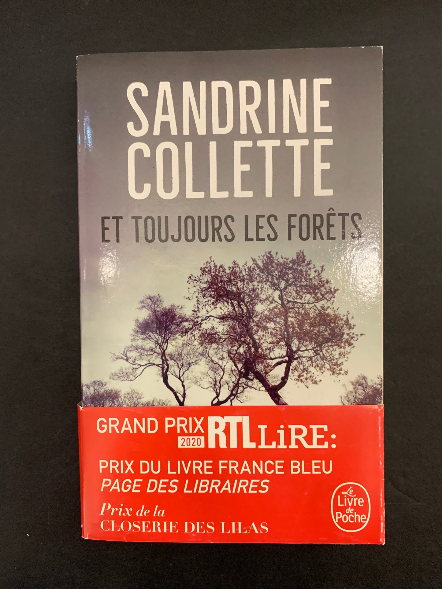 ET TOUJOURS LES FORÊTS