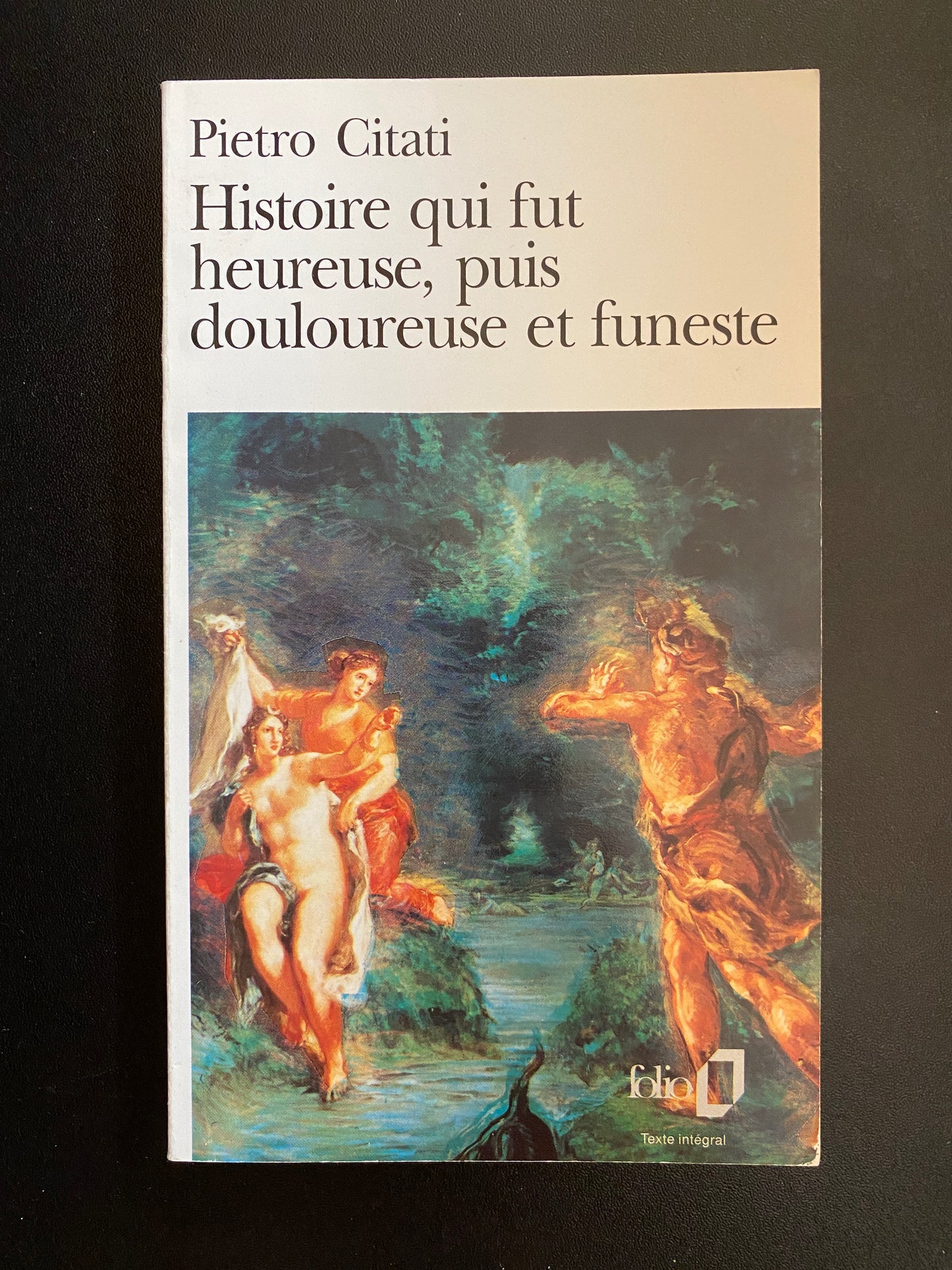 HISTOIRE QUI FUT HEUREUSE PUIS DOULOUREUSE ET FUNESTE