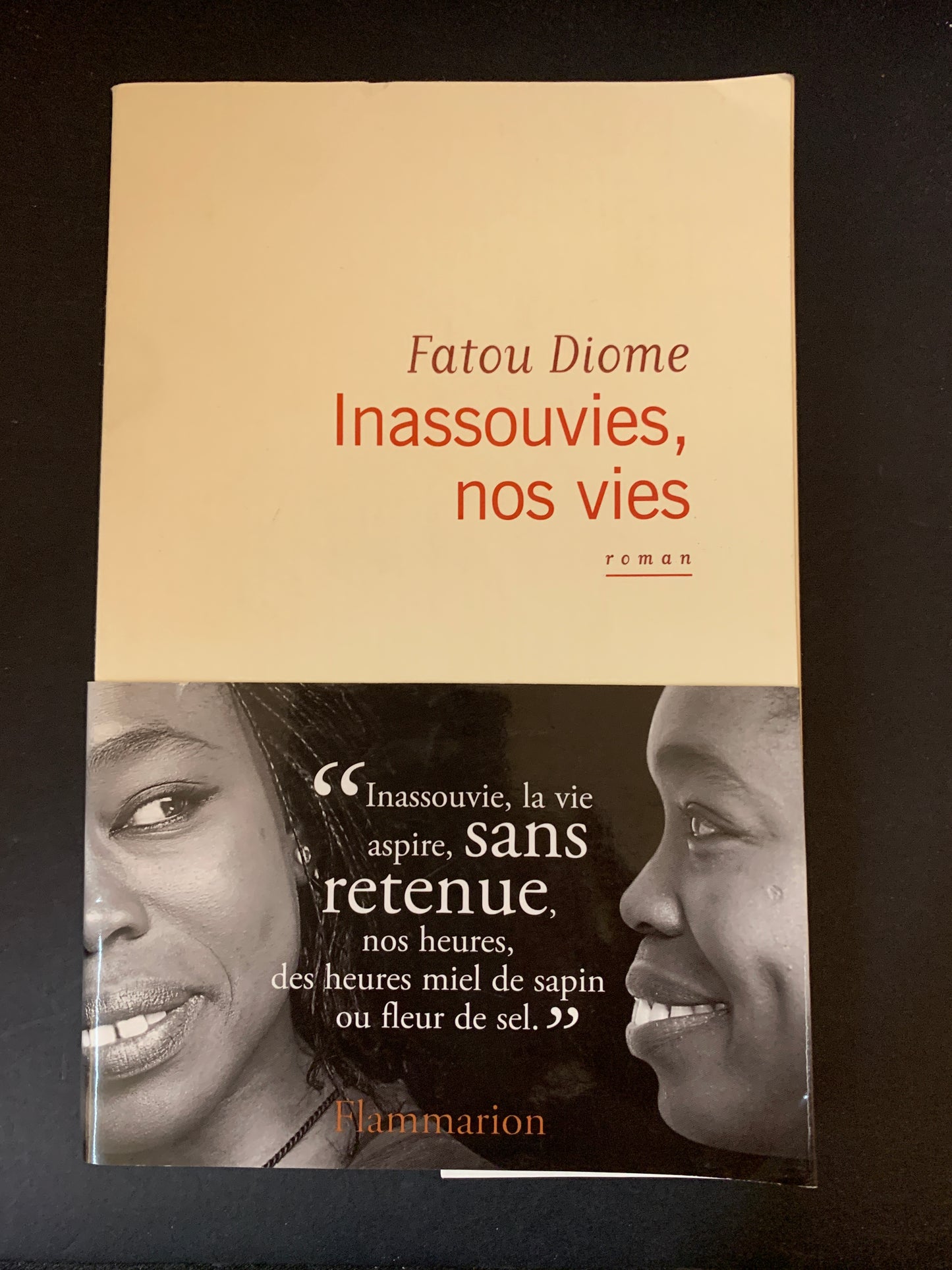 INASSOUVIES NOS VIES