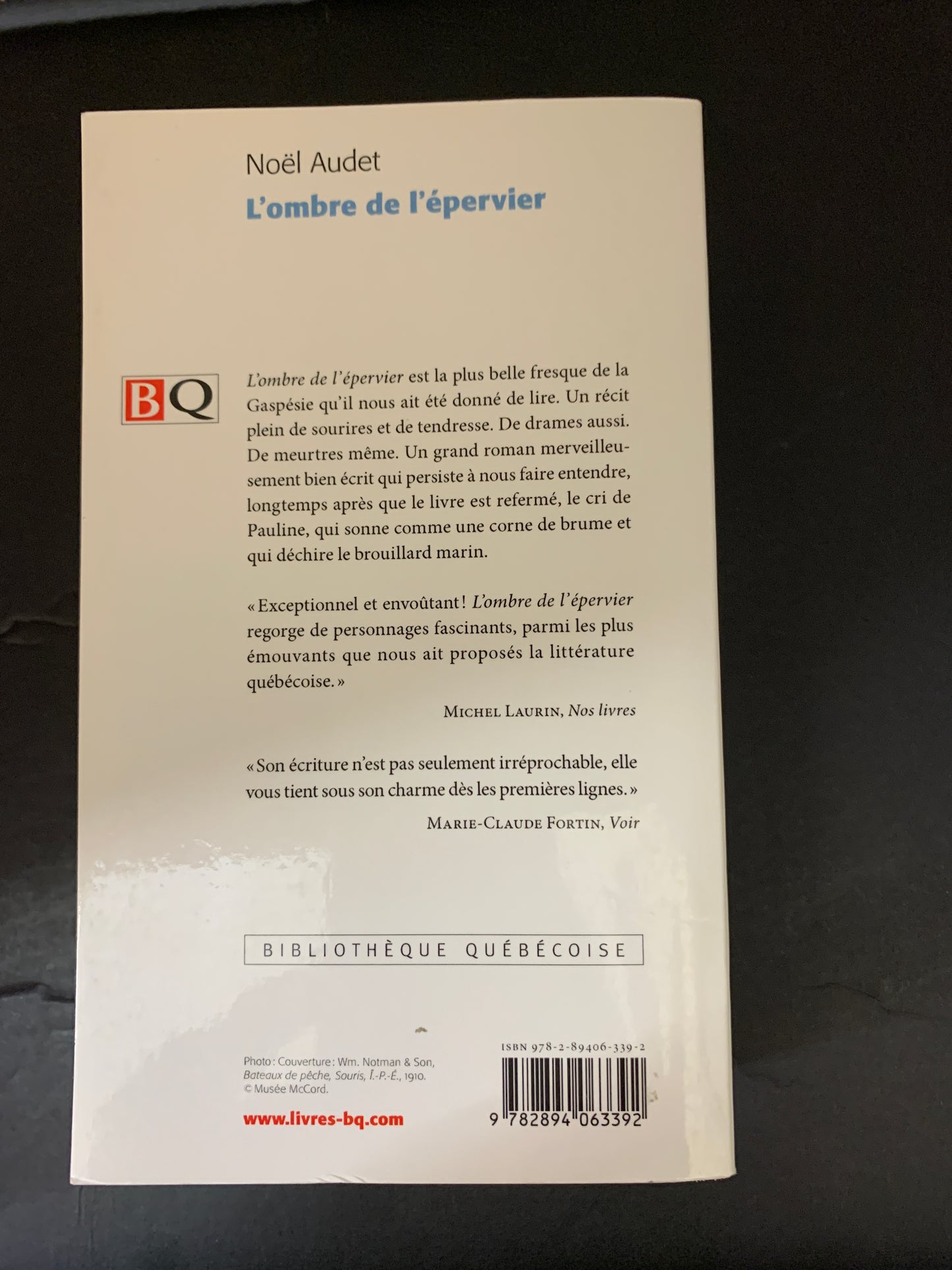 L'OMBRE DE L'ÉPERVIER
