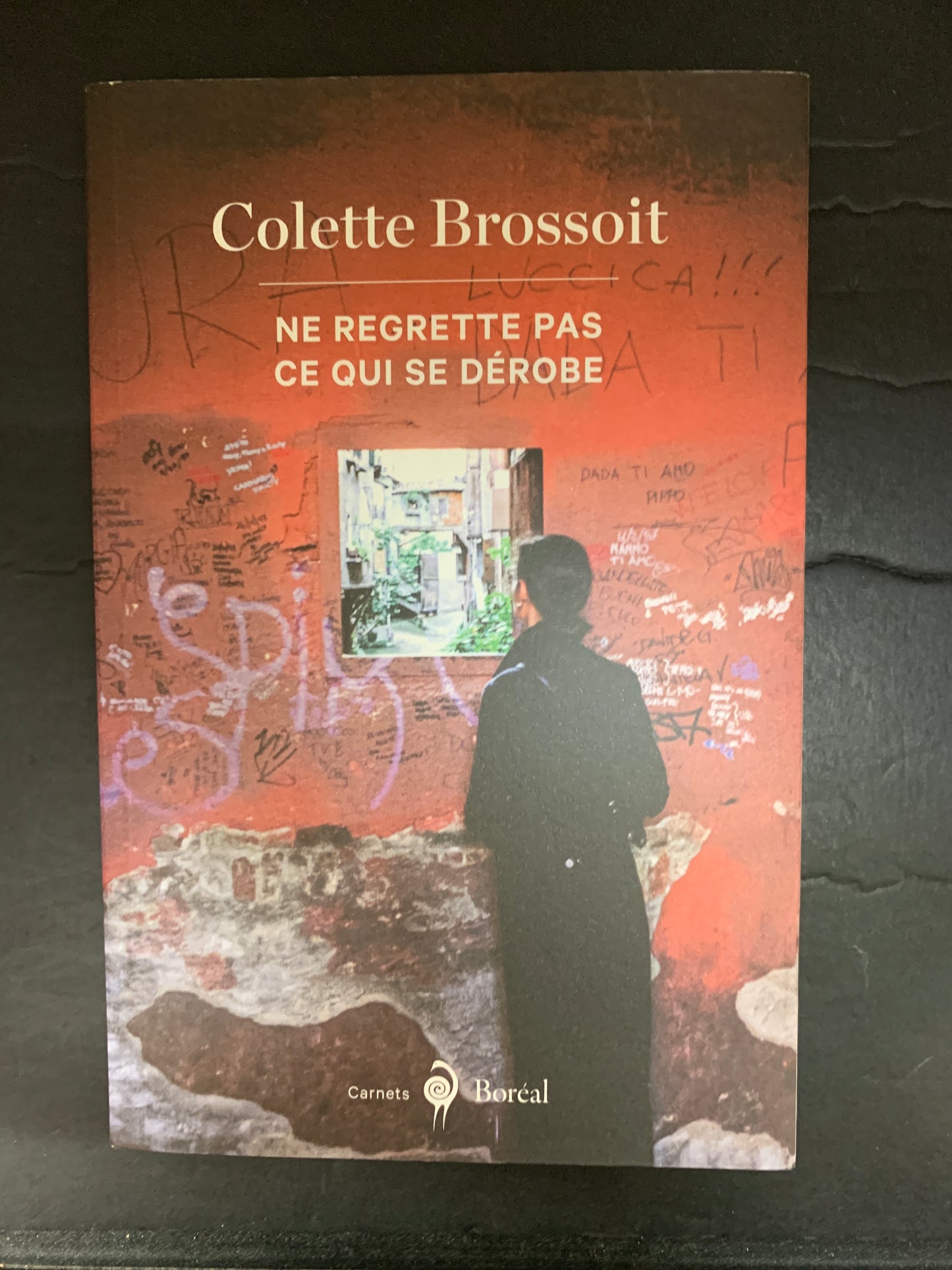 NE REGRETTE PAS CE QUI SE DÉROBE