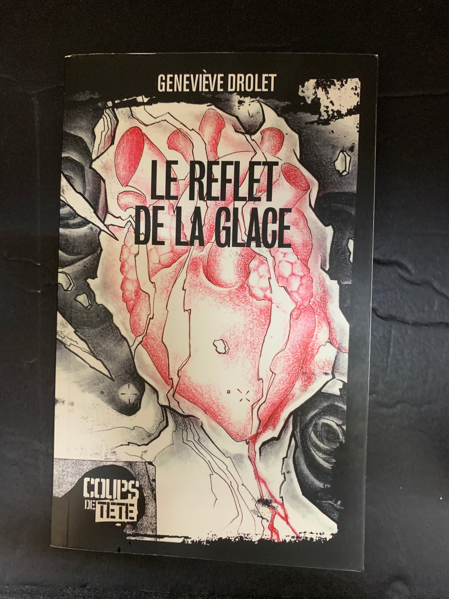 LE REFLET DE LA GLACE