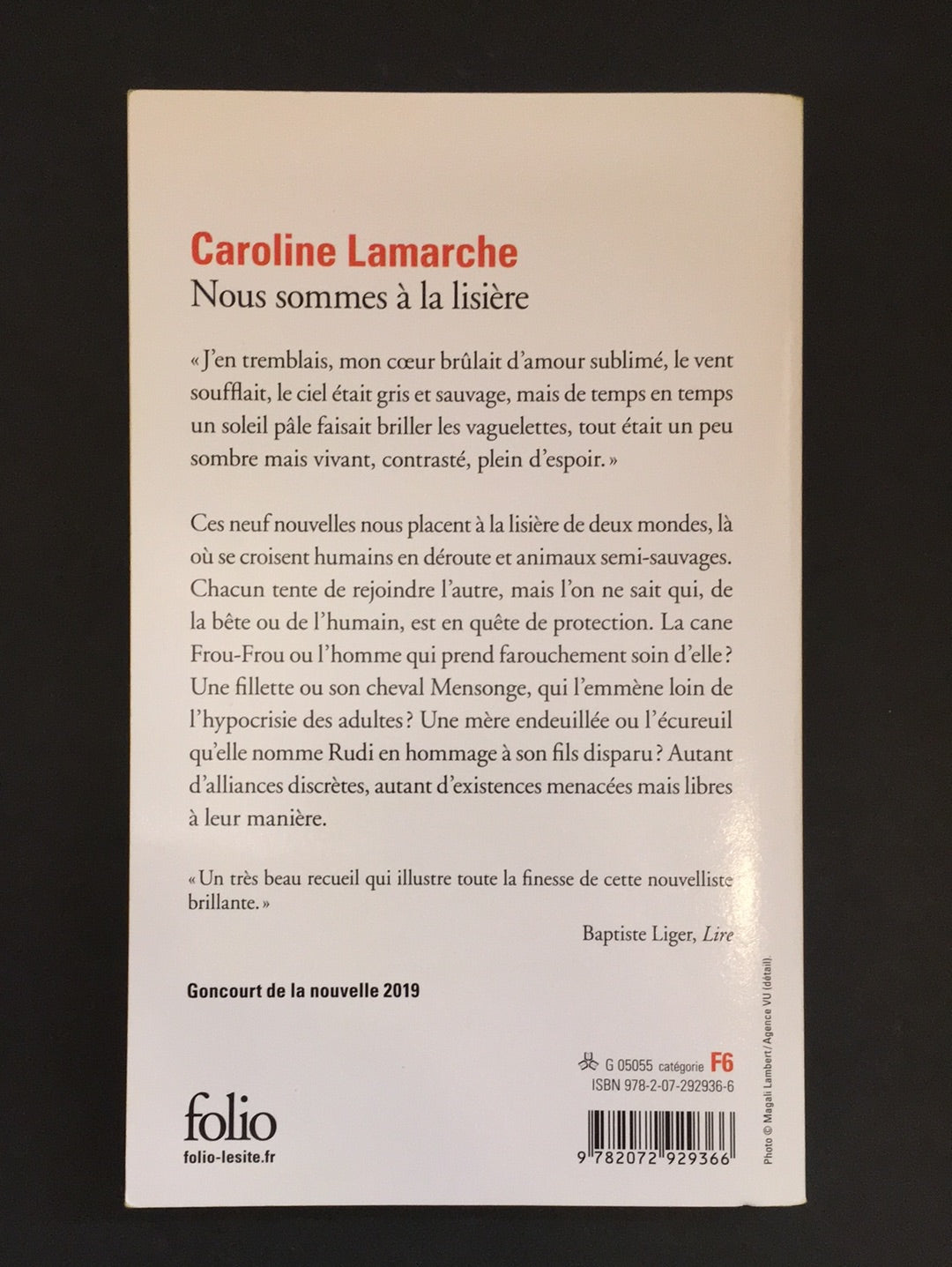 NOUS SOMMES À LA LISIÈRE