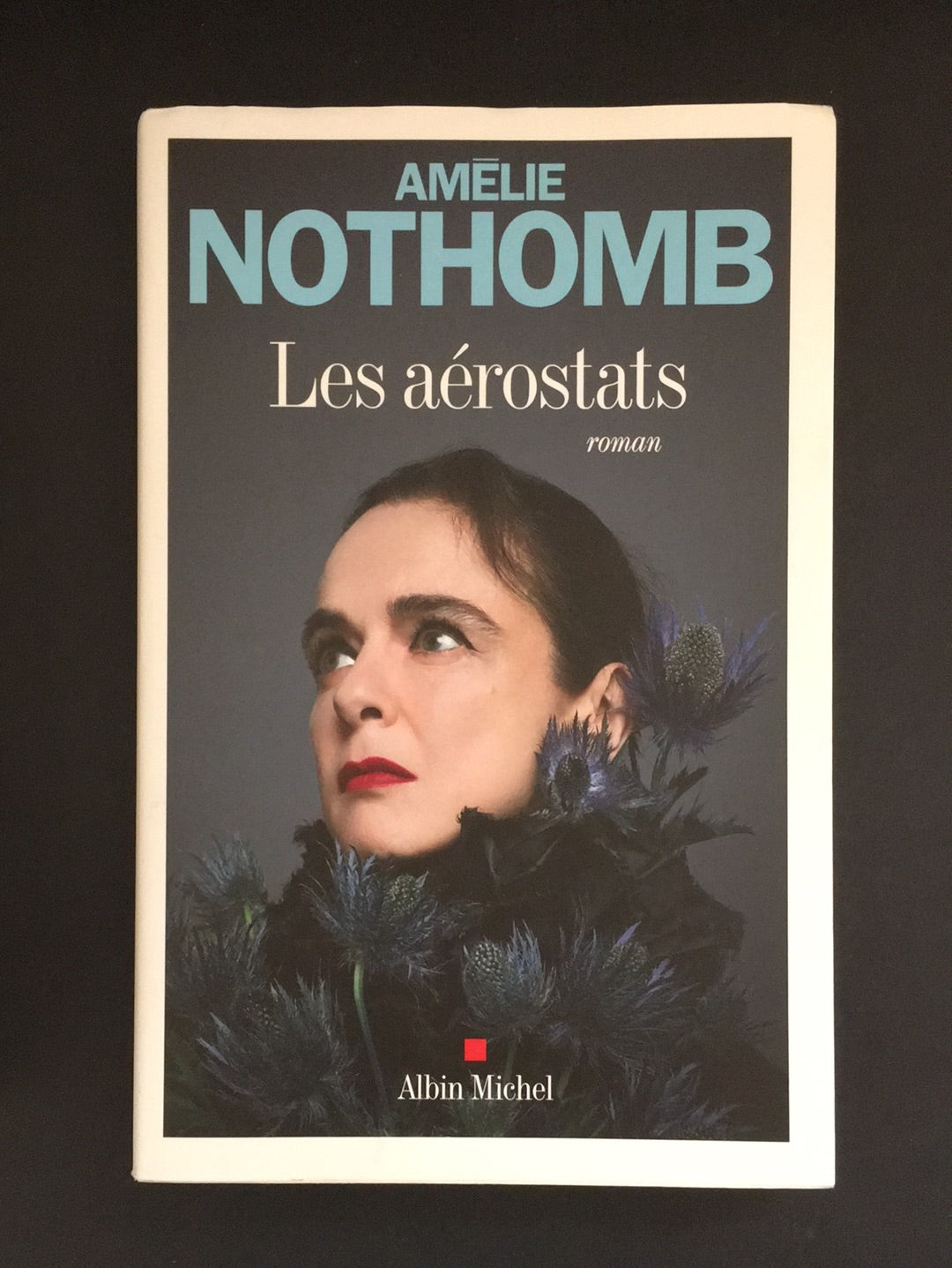 LES AÉROSTATS