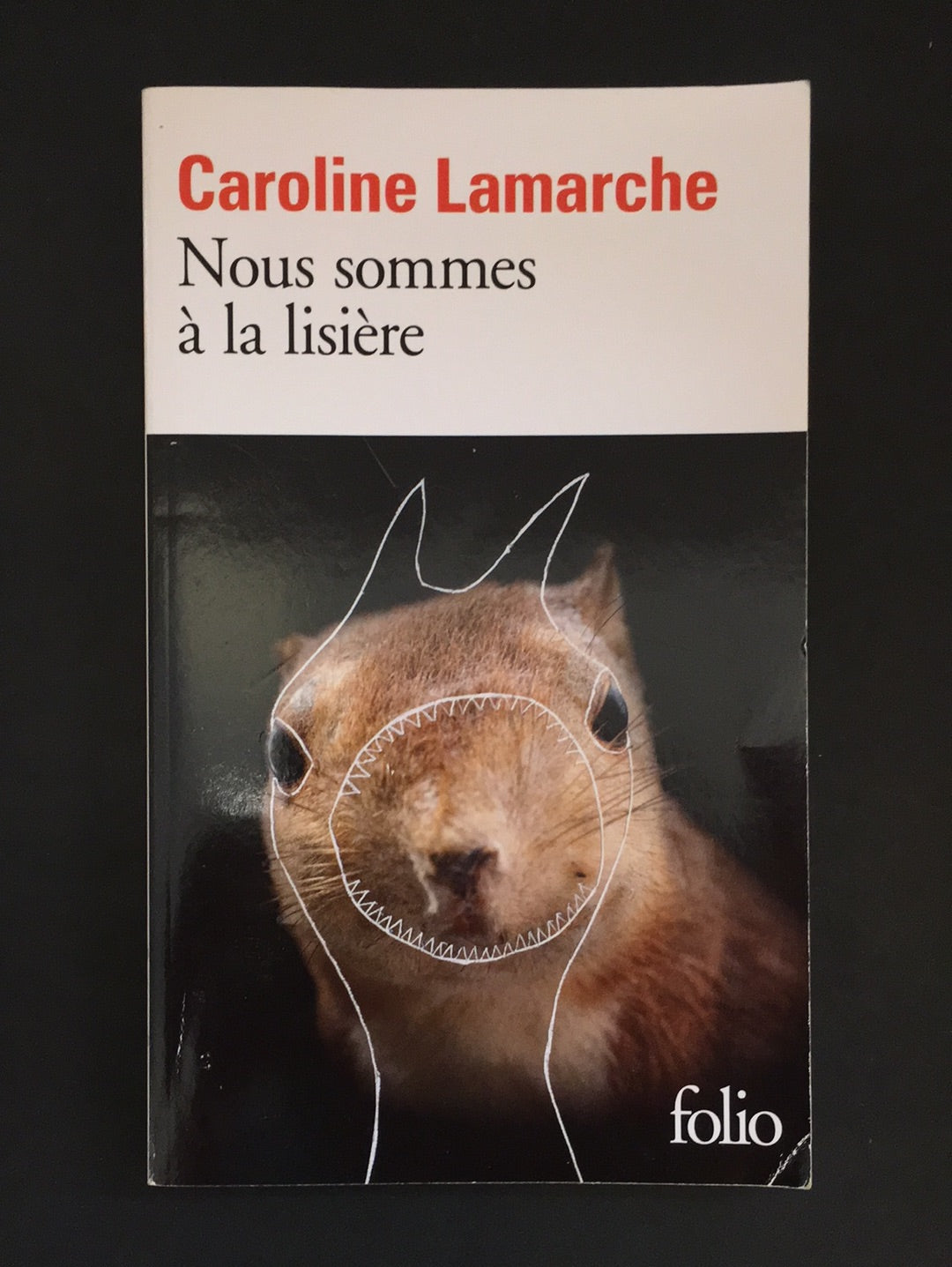 NOUS SOMMES À LA LISIÈRE