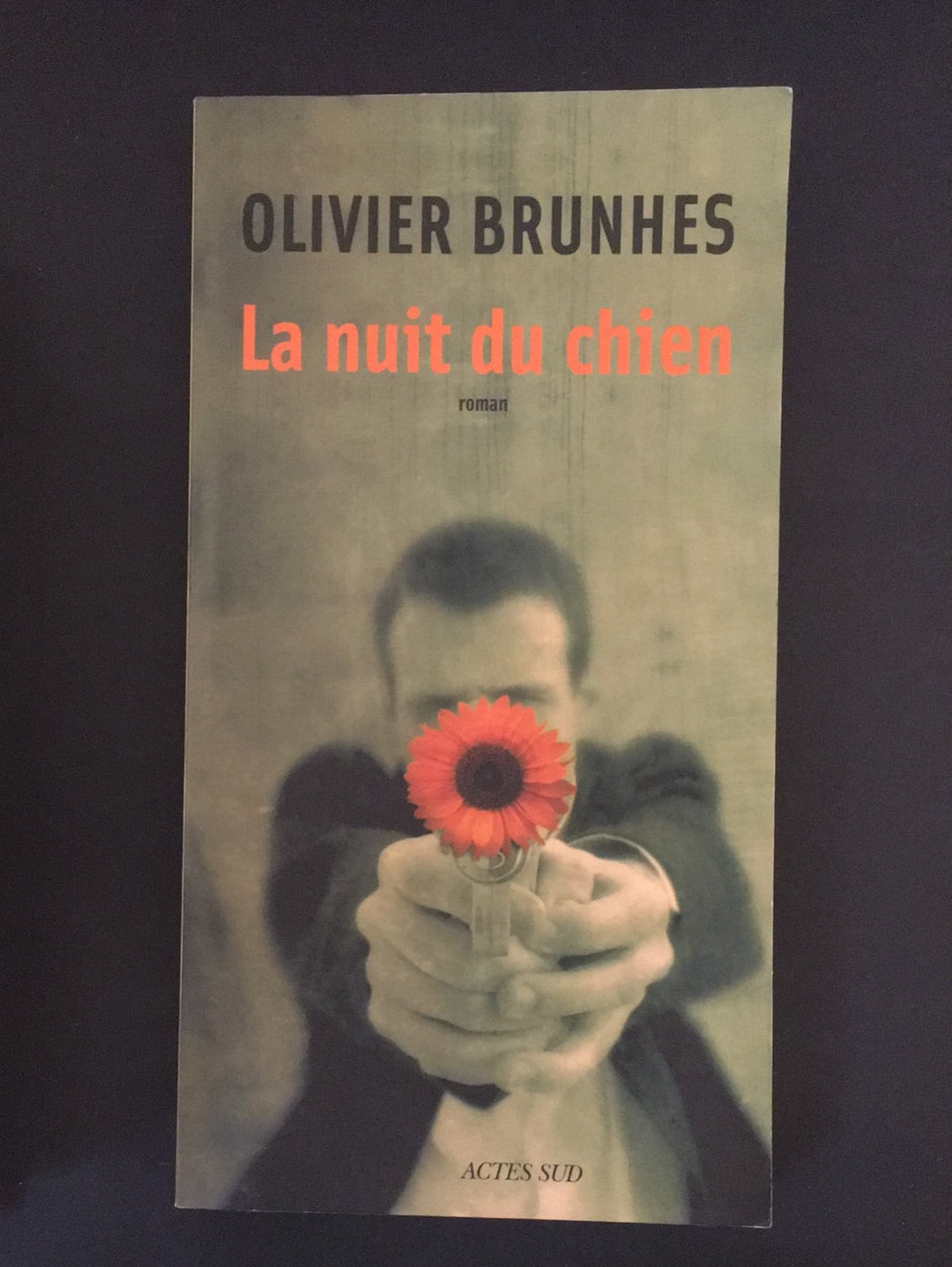 LA NUIT DU CHIEN.