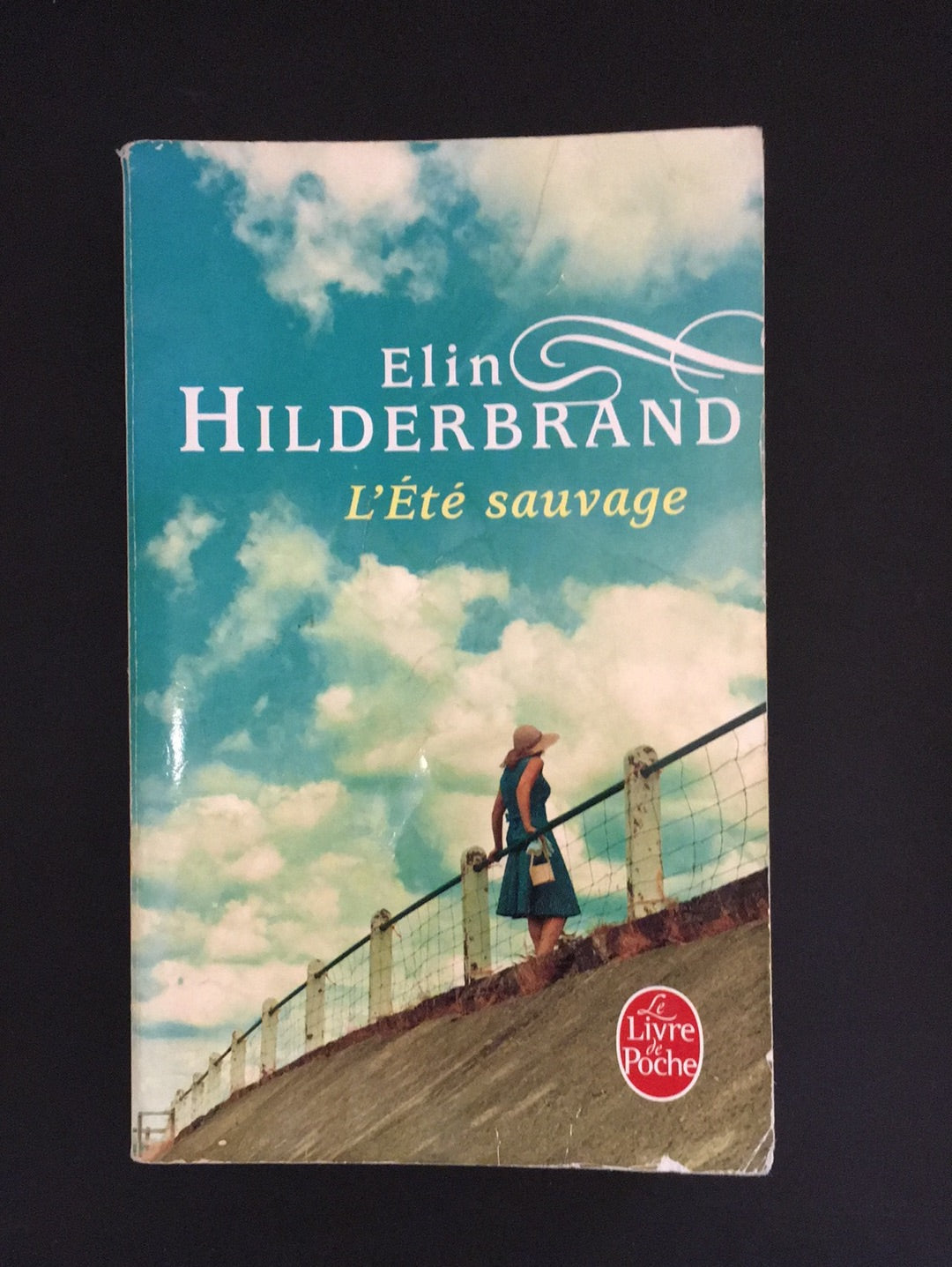 L'ÉTÉ SAUVAGE.