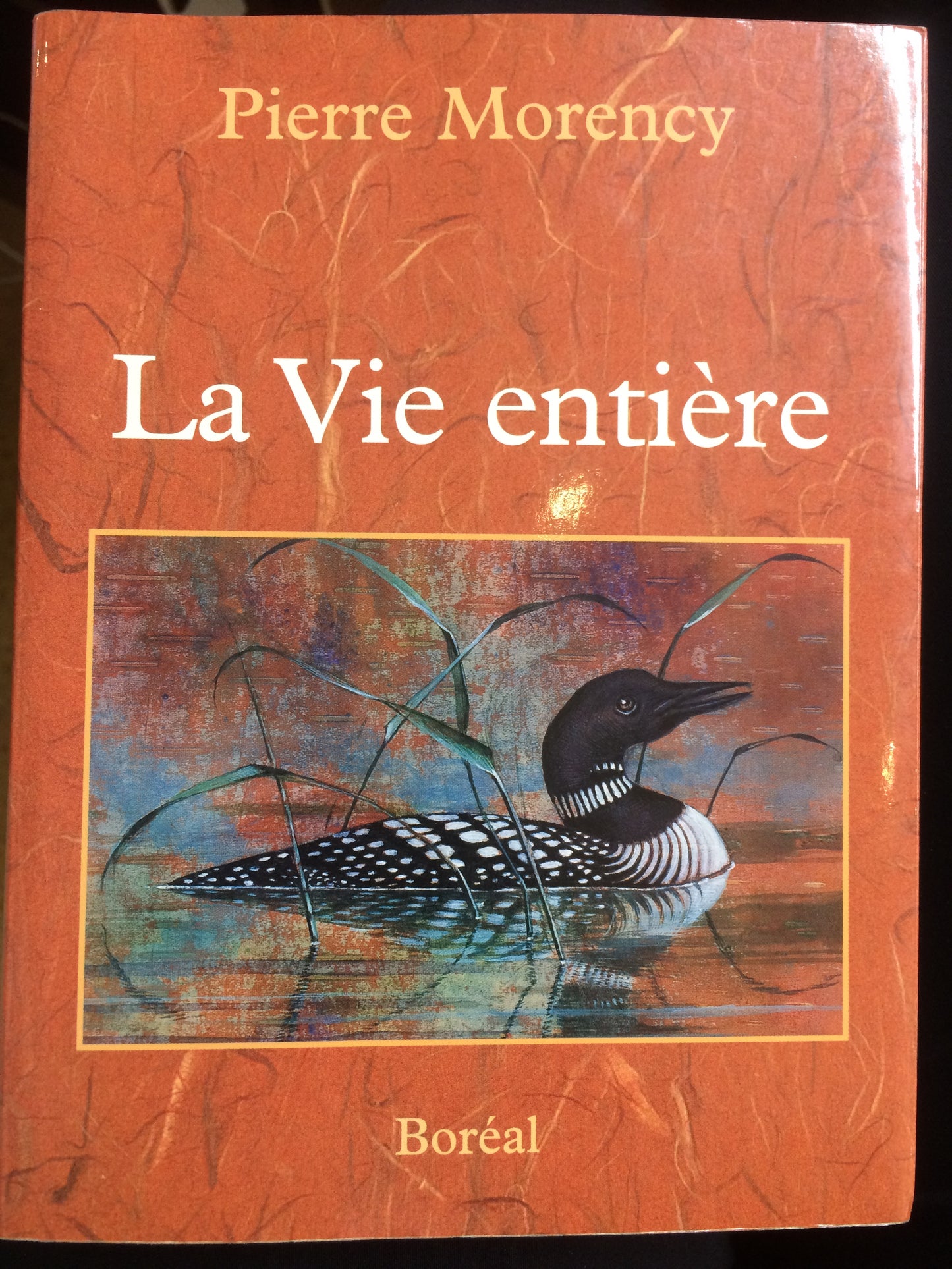 LA VIE ENTIÈRE