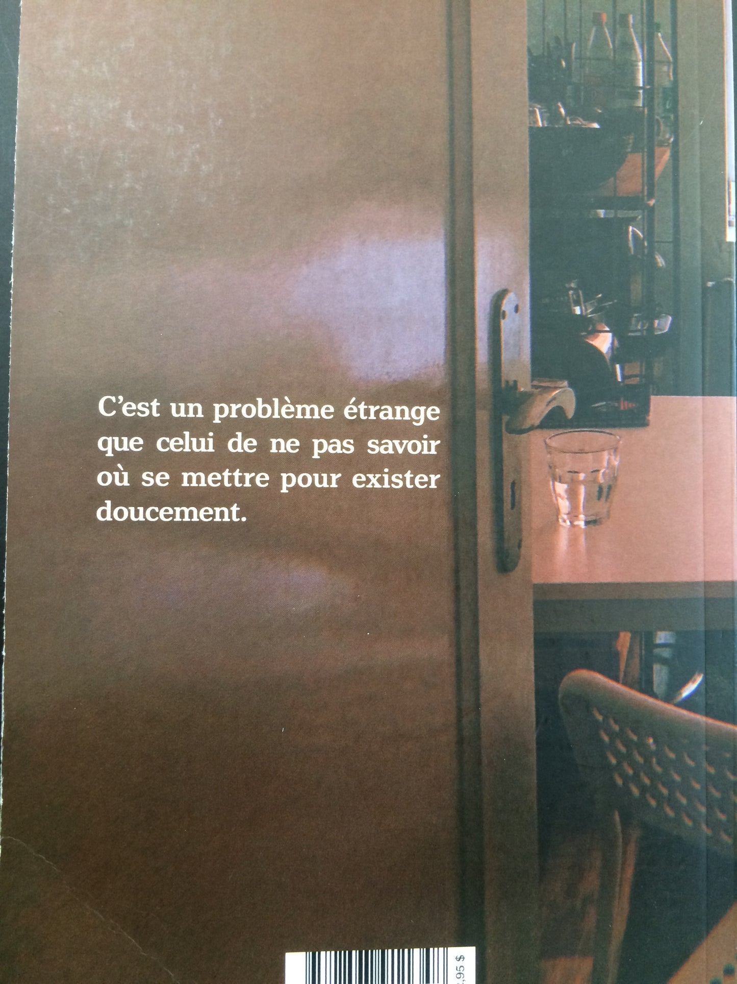 L'ESSOREUSE À SALADE