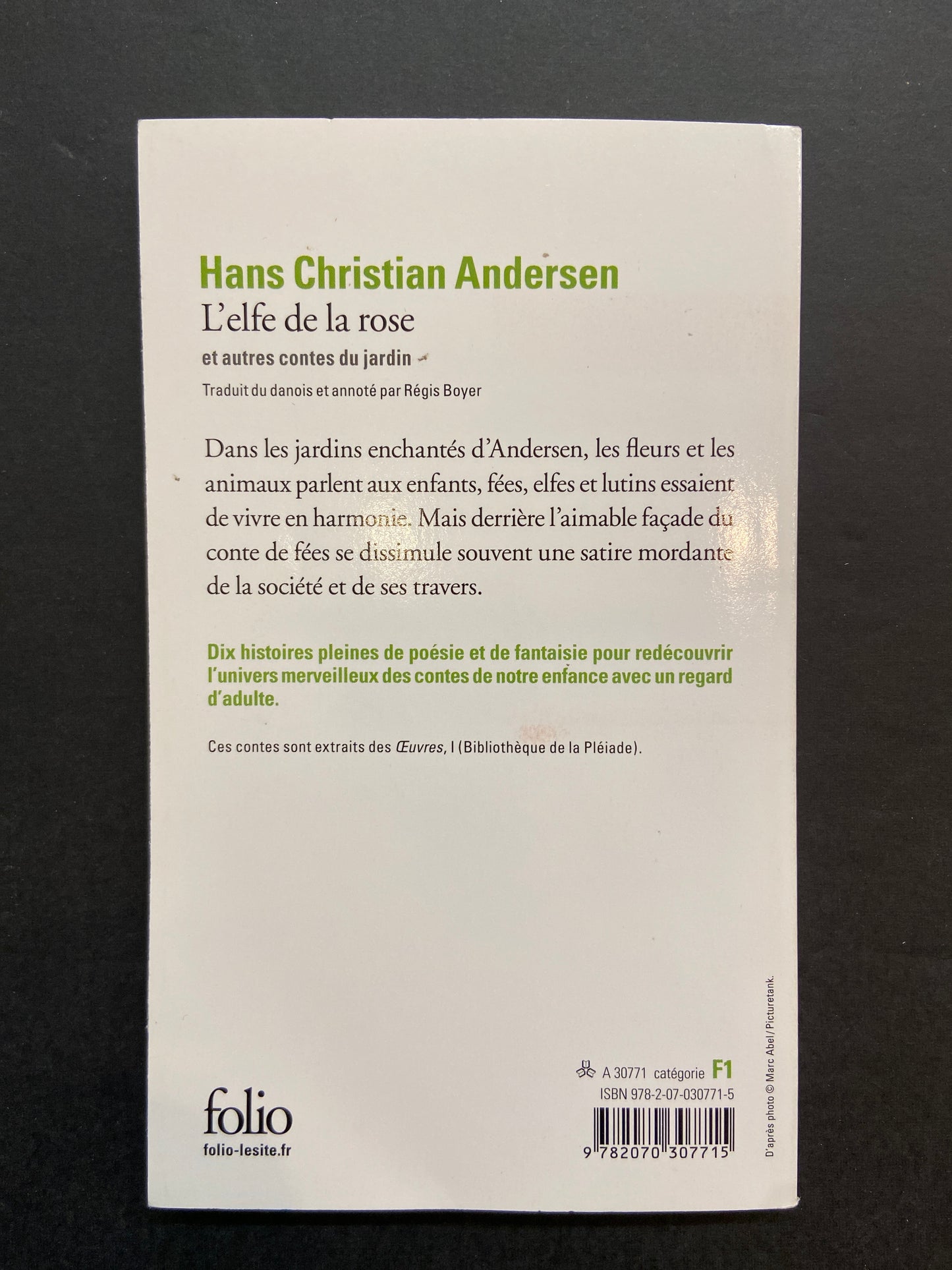 L'ELFE DE LA ROSE