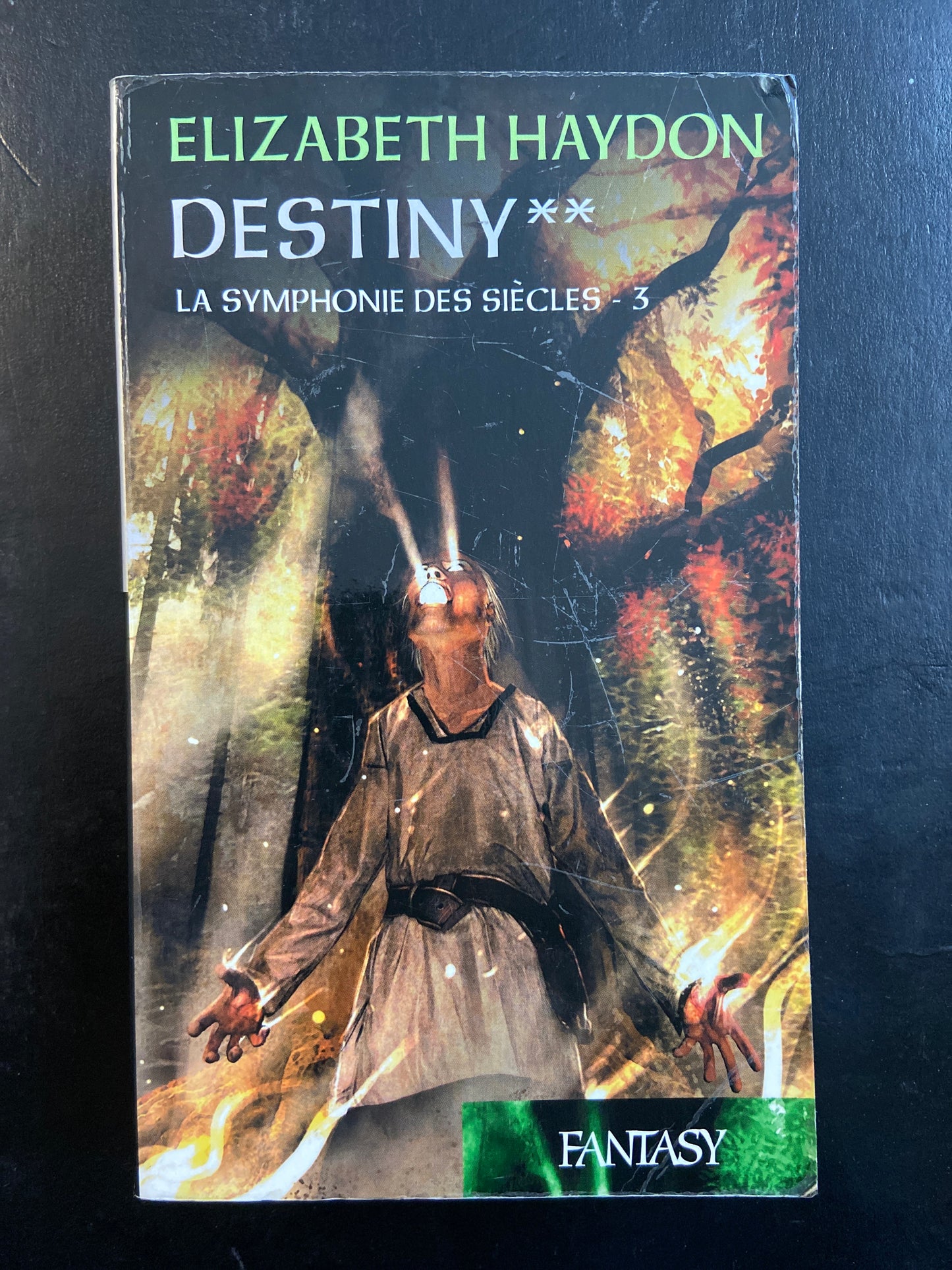 LA SYMPHONIE DES SIÈCLES - SÉRIE 3 - DESTINY - TOME 02