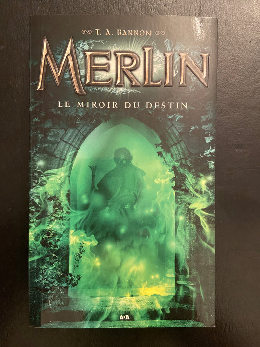 MERLIN - T.04 LE MIROIR DU DESTIN