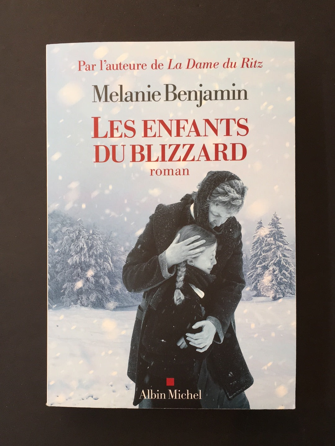 LES ENFANTS DU BLIZZARD