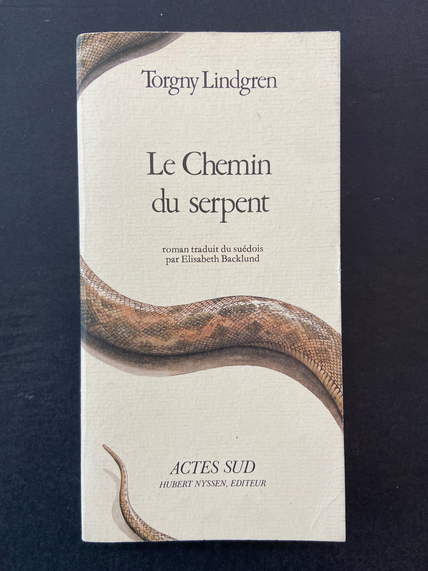 LE CHEMIN DU SERPENT