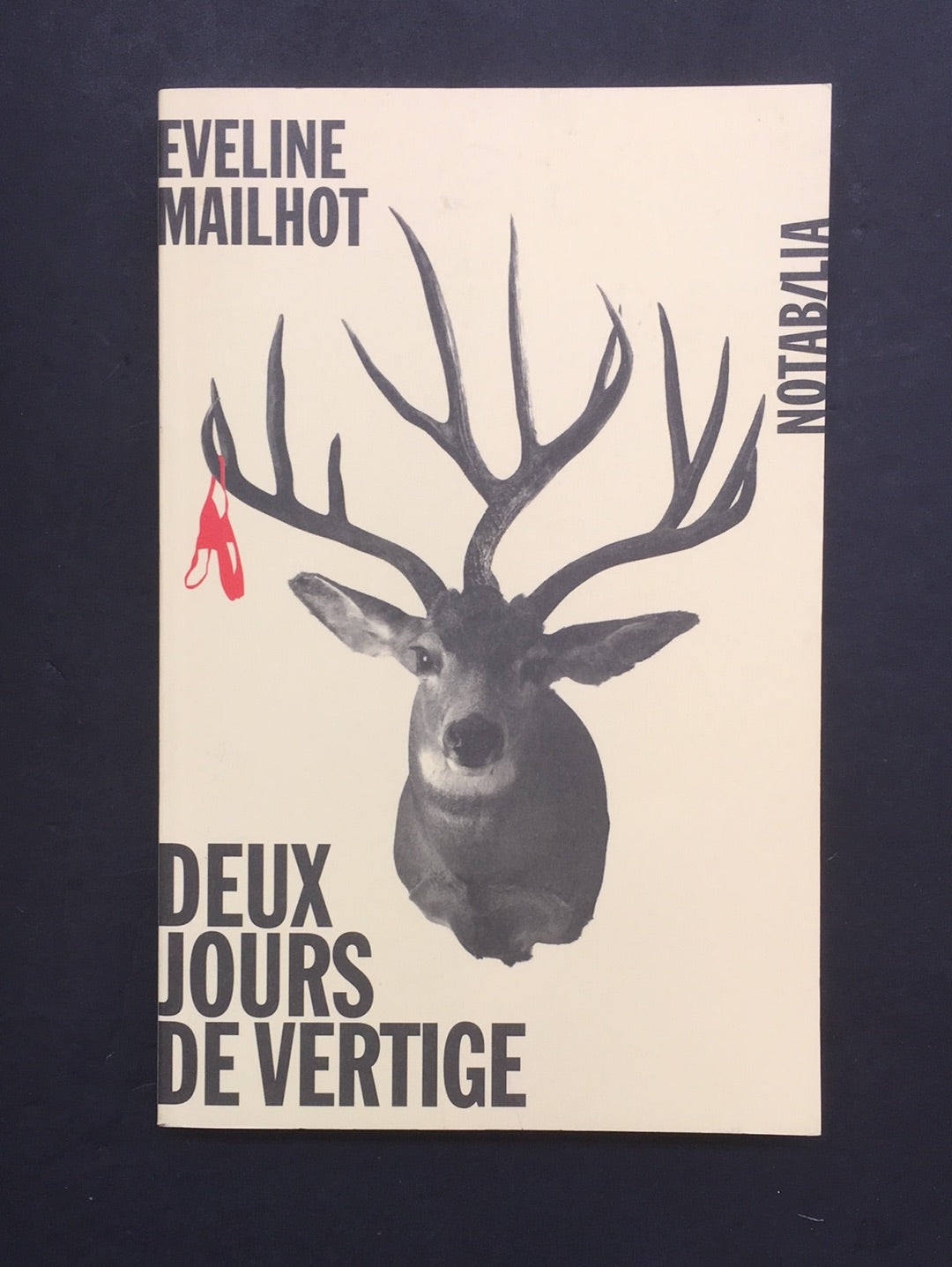DEUX JOURS DE VERTIGE