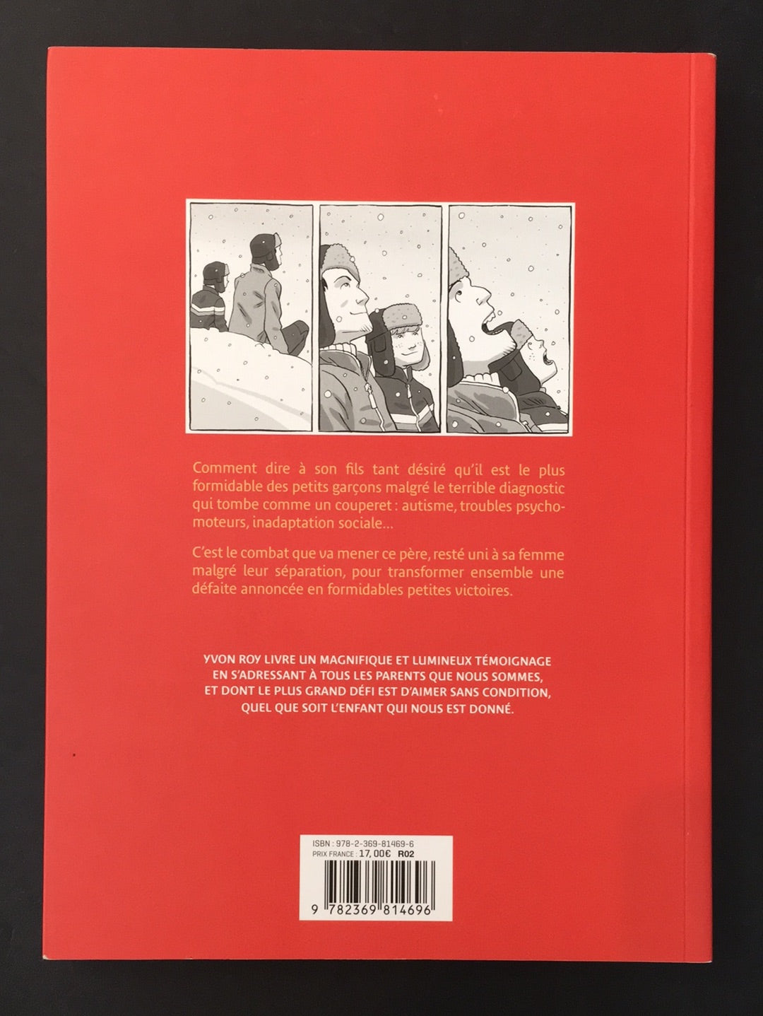 LES PETITES VICTOIRES