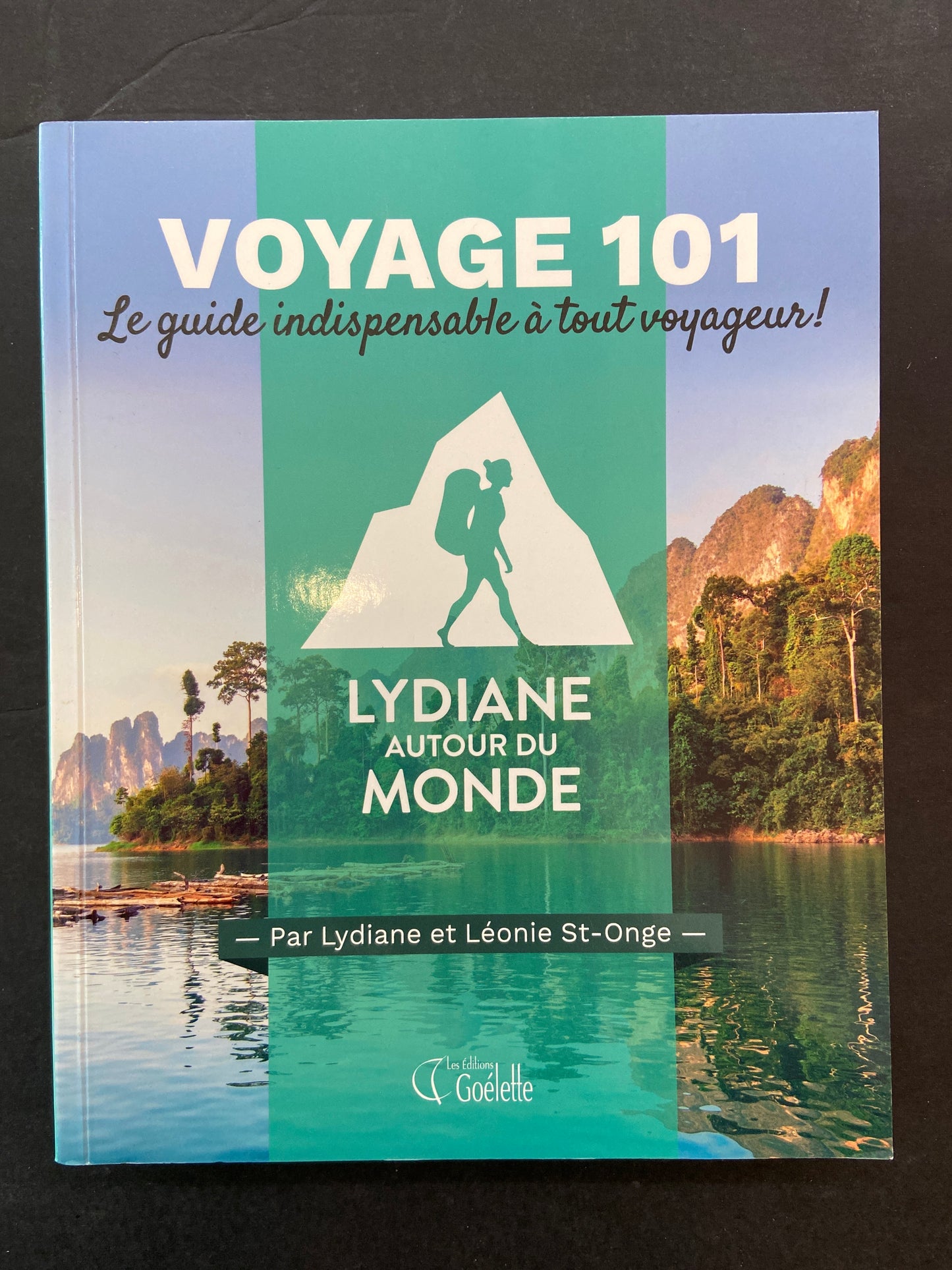 VOYAGE 101 - LE GUIDE INDISPENSABLE À TOUT VOYAGEUR!