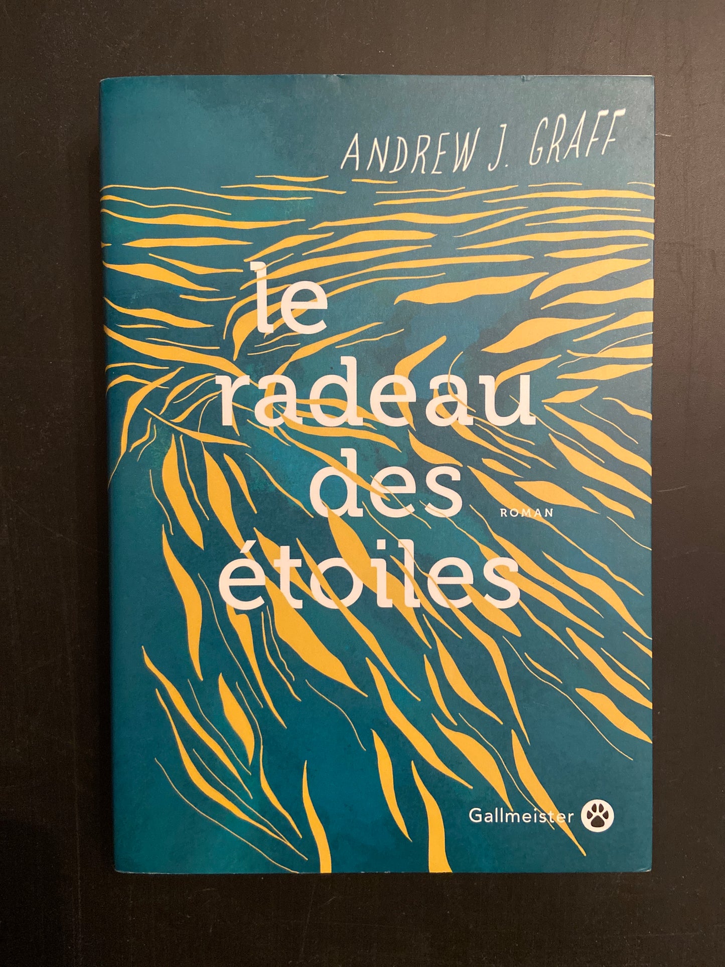 LE RADEAU DES ÉTOILES