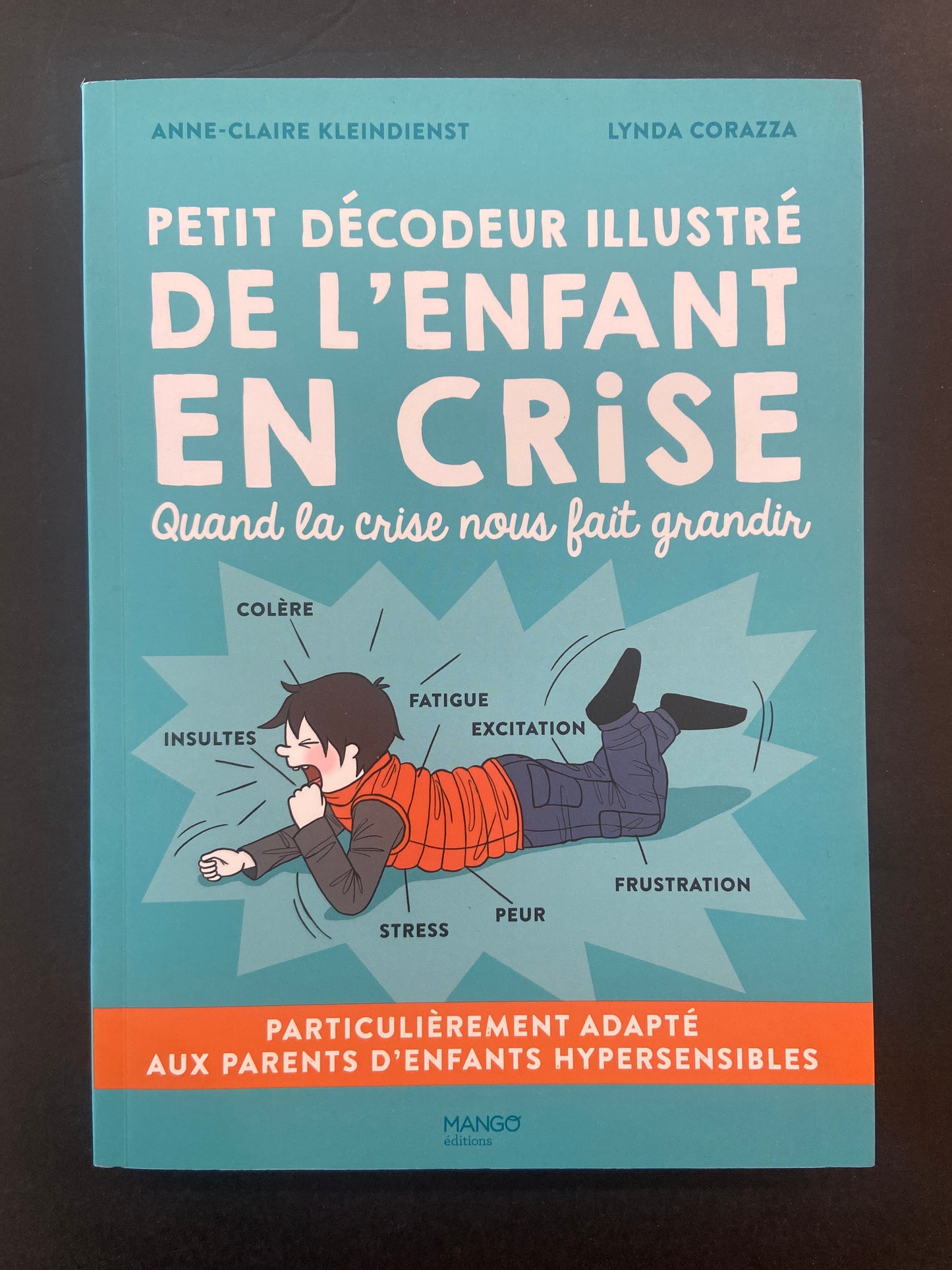 PETIT DÉCODEUR ILLUSTRÉ DE L'ENFANT EN CRISE
