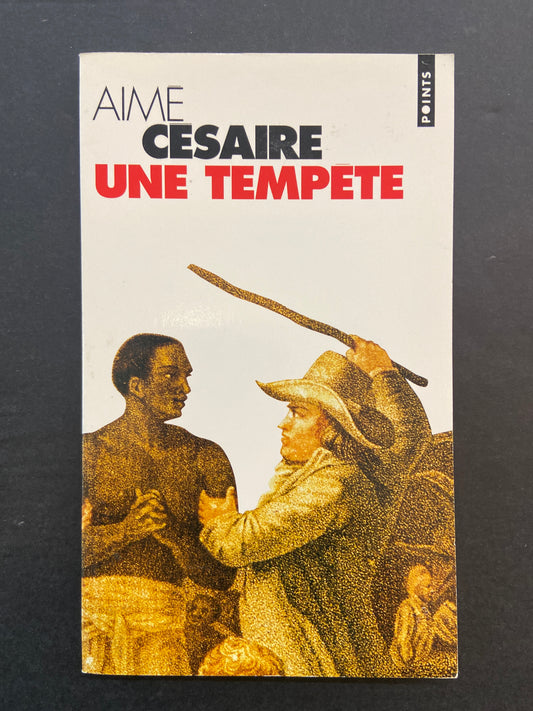 UNE TEMPÊTE