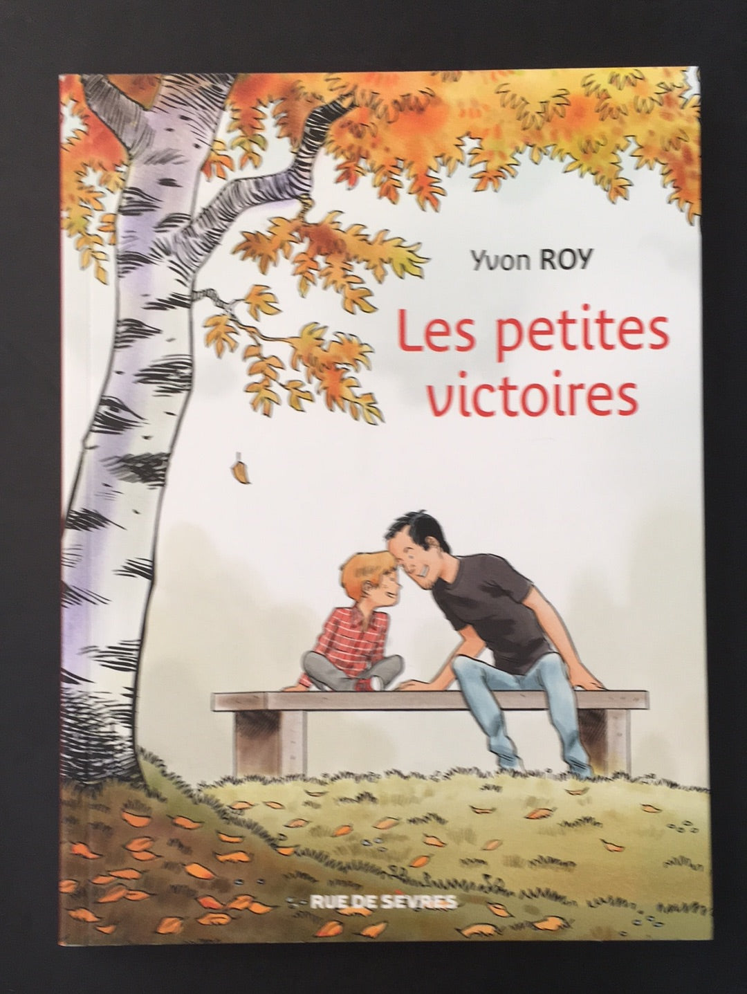 LES PETITES VICTOIRES