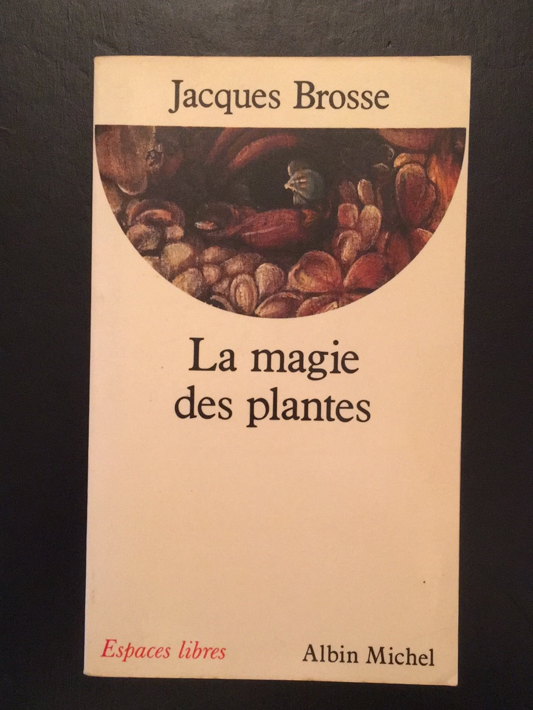 LA MAGIE DES PLANTES