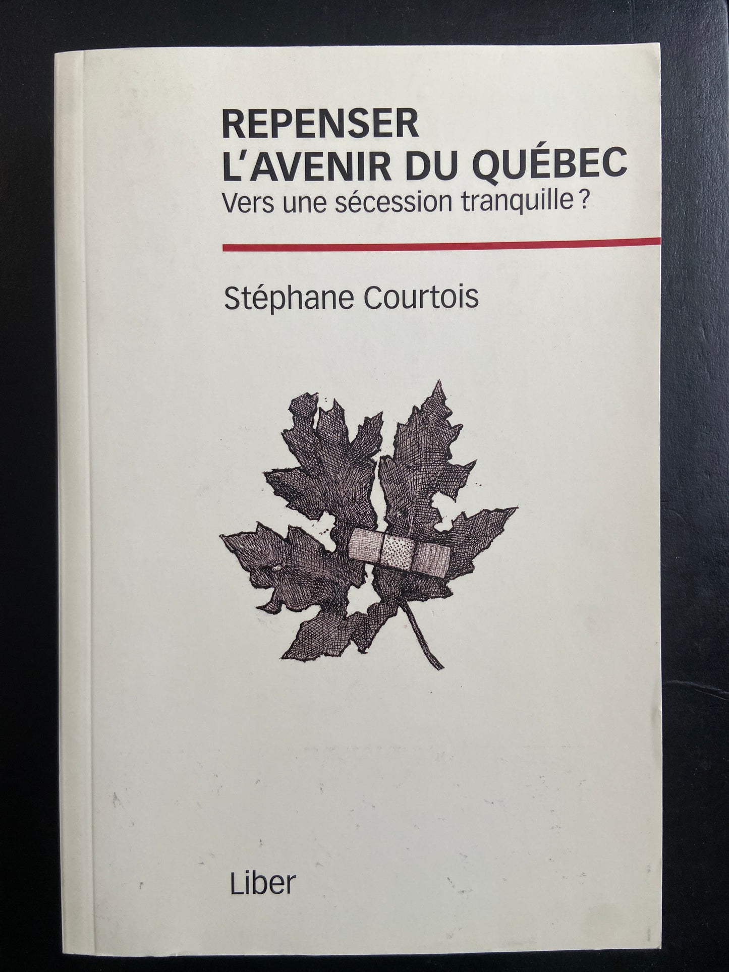 REPENSER L'AVENIR DU QUÉBEC