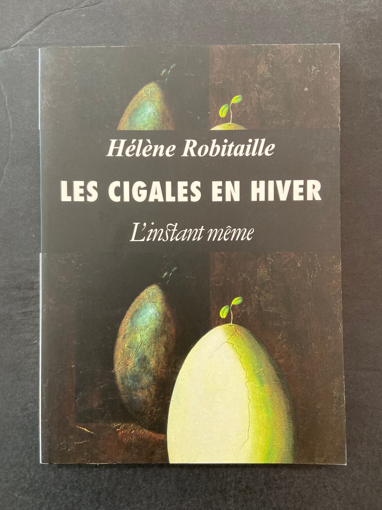 LES CIGALES EN HIVER