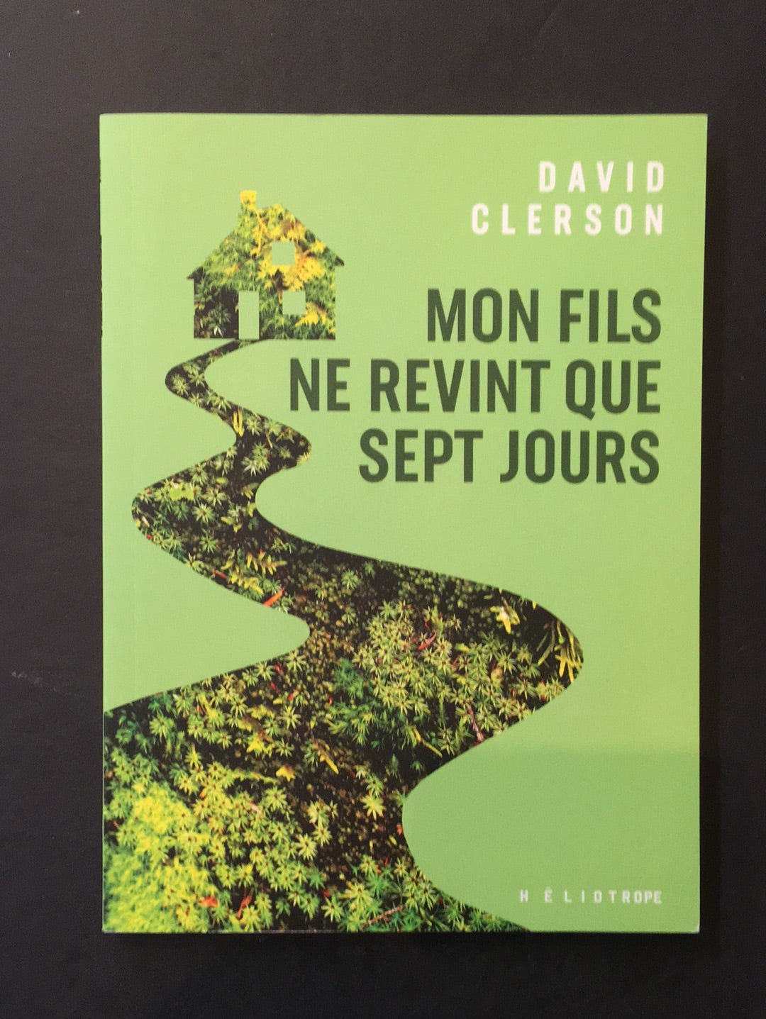 MON FILS NE REVINT QUE SEPT JOURS
