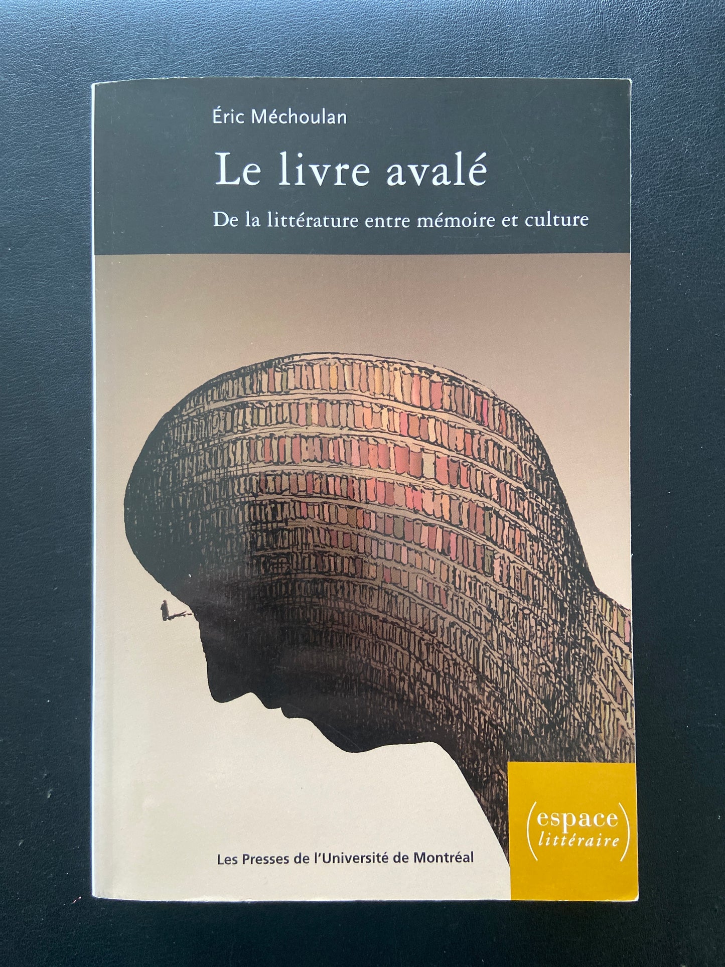 LE LIVRE AVALÉ - DE LA LITTÉRATURE ENTRE MÉMOIRE ET CULTURE