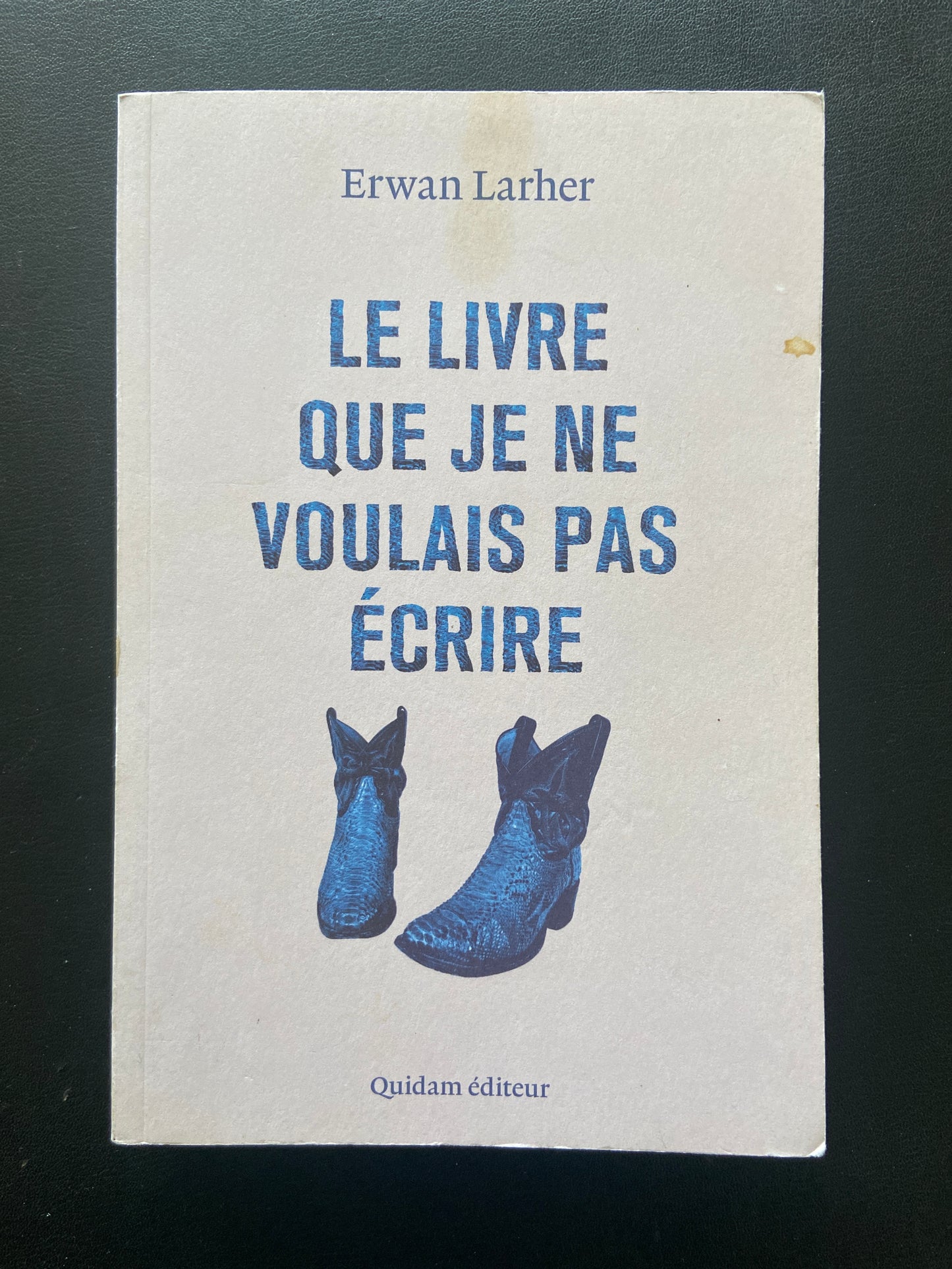 LE LIVRE QUE JE NE VOULAIS PAS ÉCRIRE