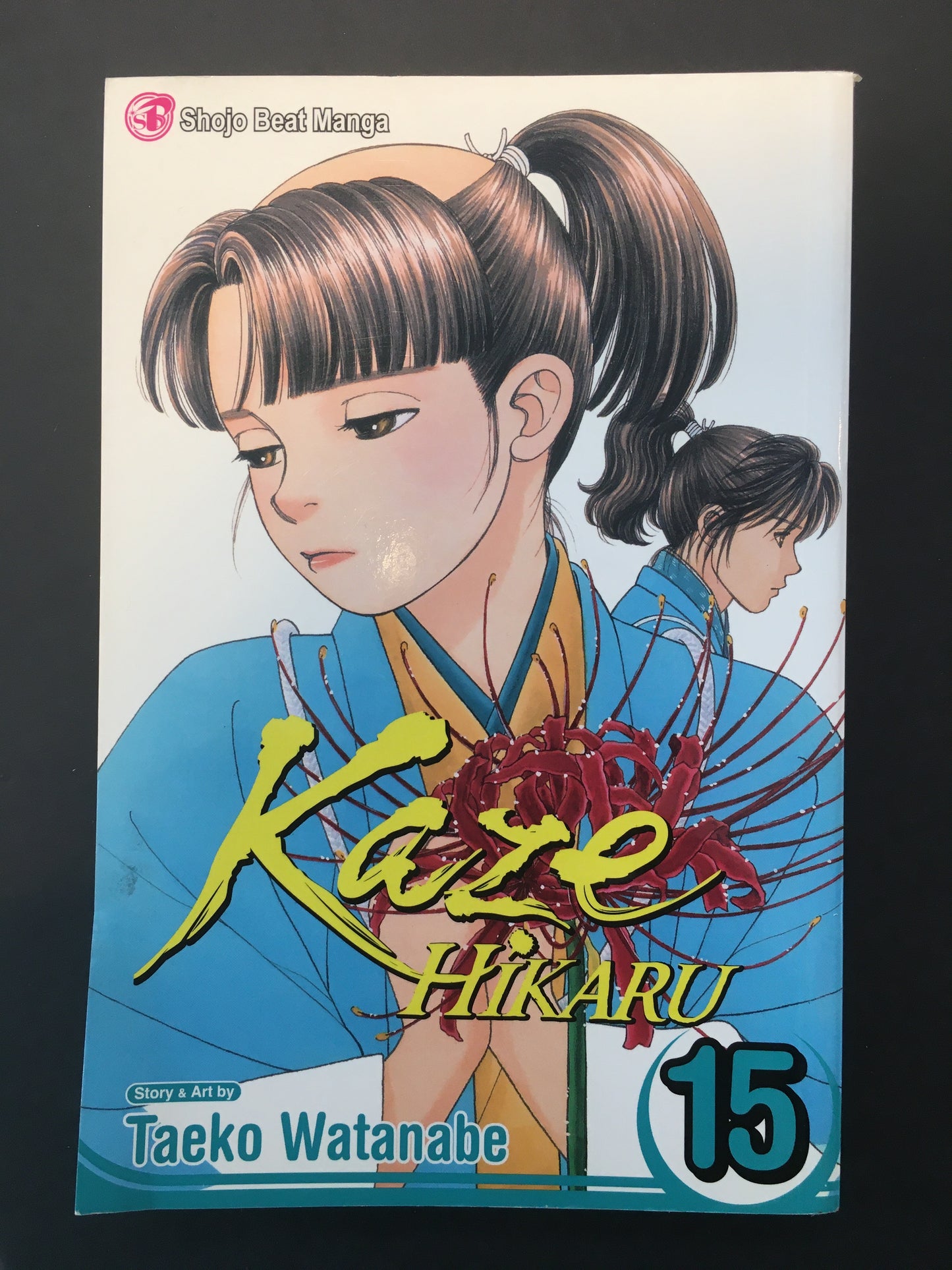 KAZE HIKARU - T.15