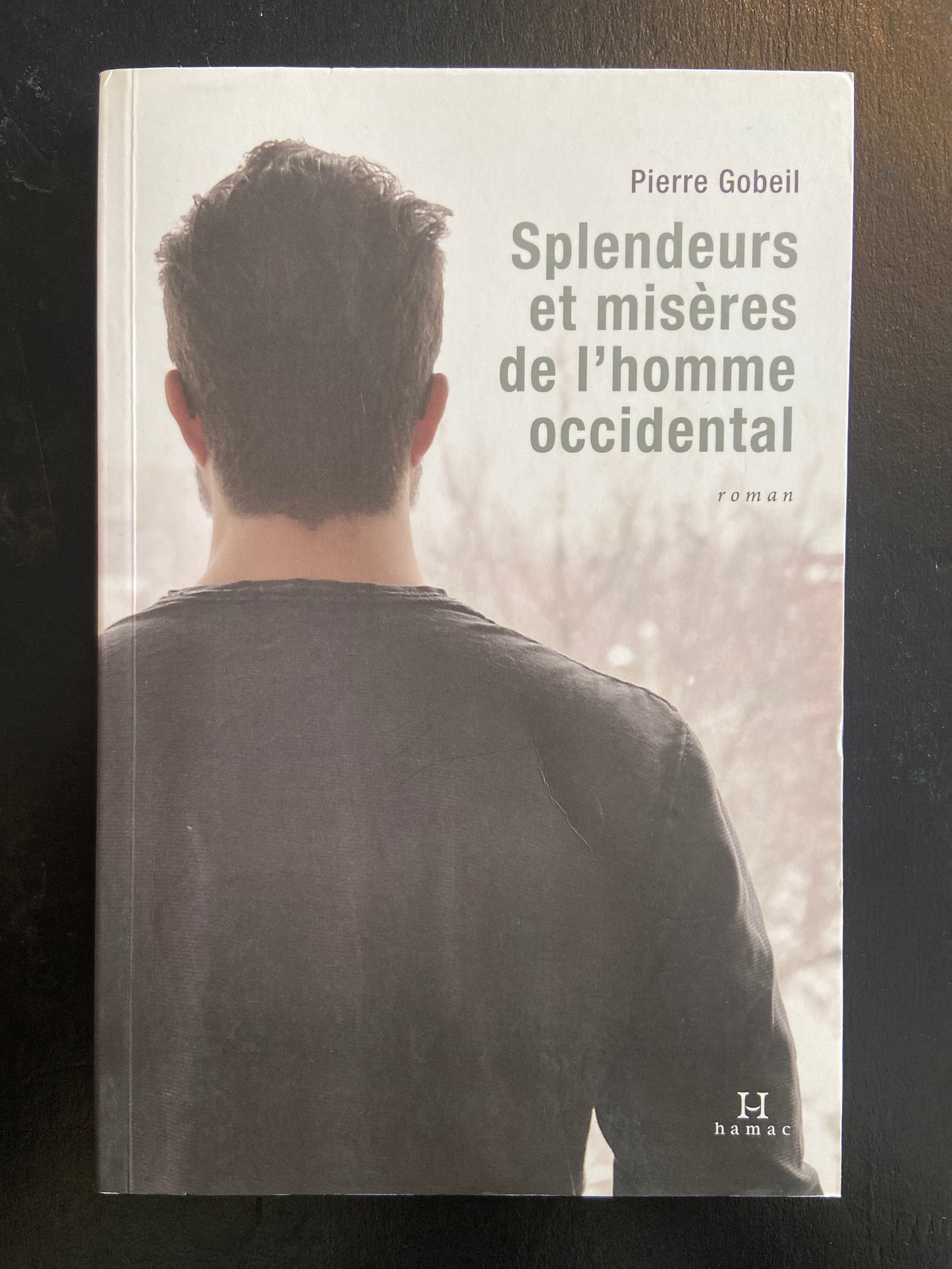 SPLENDEURS ET MISÈRES DE L'HOMME OCCIDENTAL