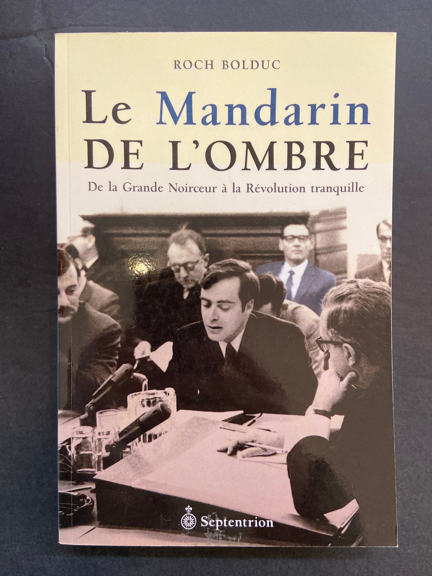 LE MANDARIN DE L'OMBRE