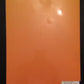 STUDENT STUDY GUIDE AND SOLUTIONS MANUAL FOR ORGANIC CHEMISTRY