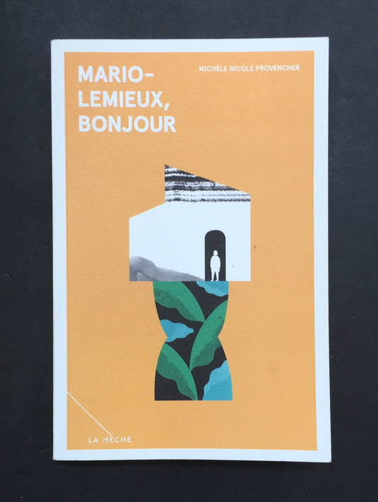 MARIO-LEMIEUX BONJOUR