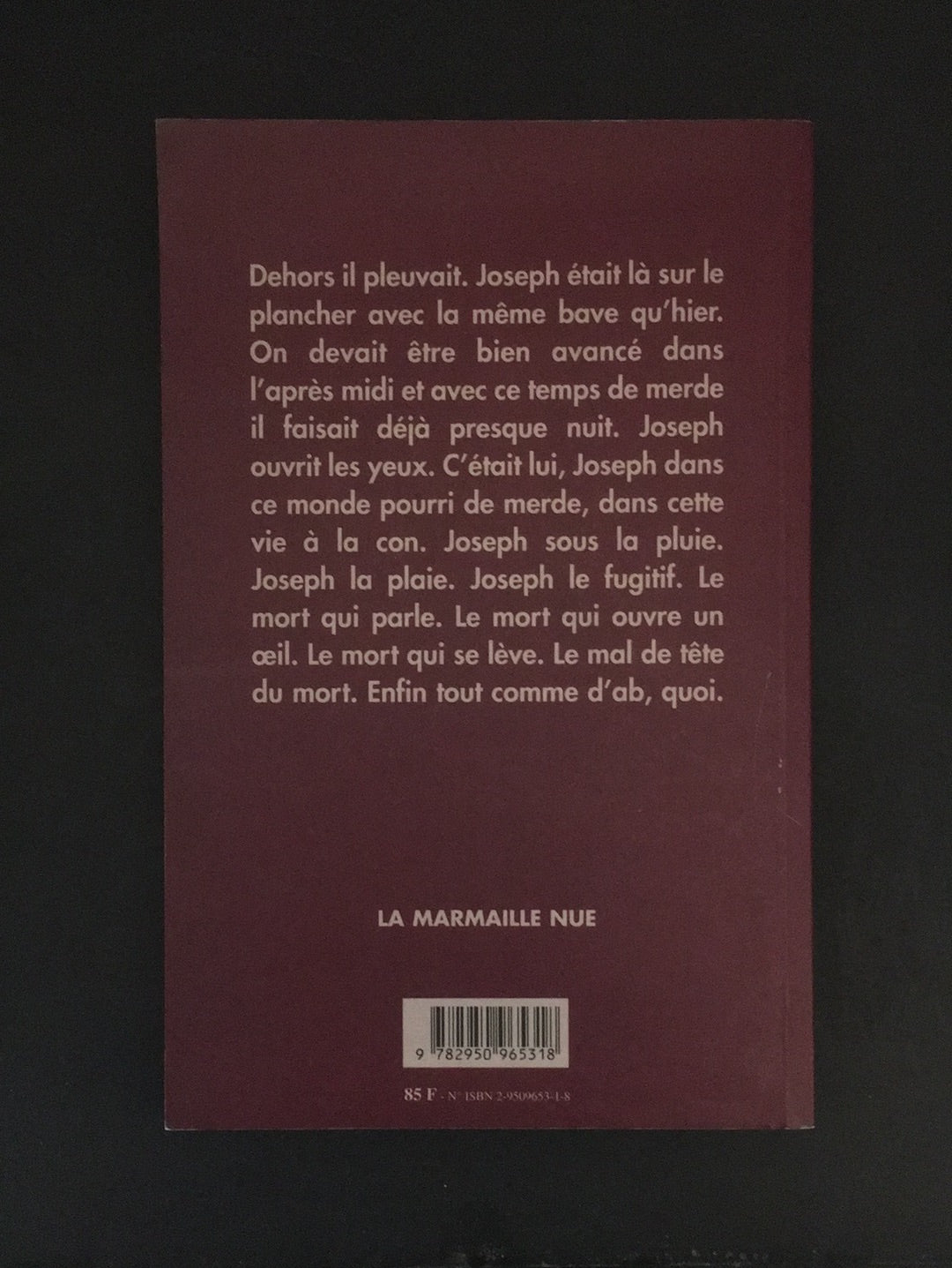 JOSEPH SOUS LA PLUIE
