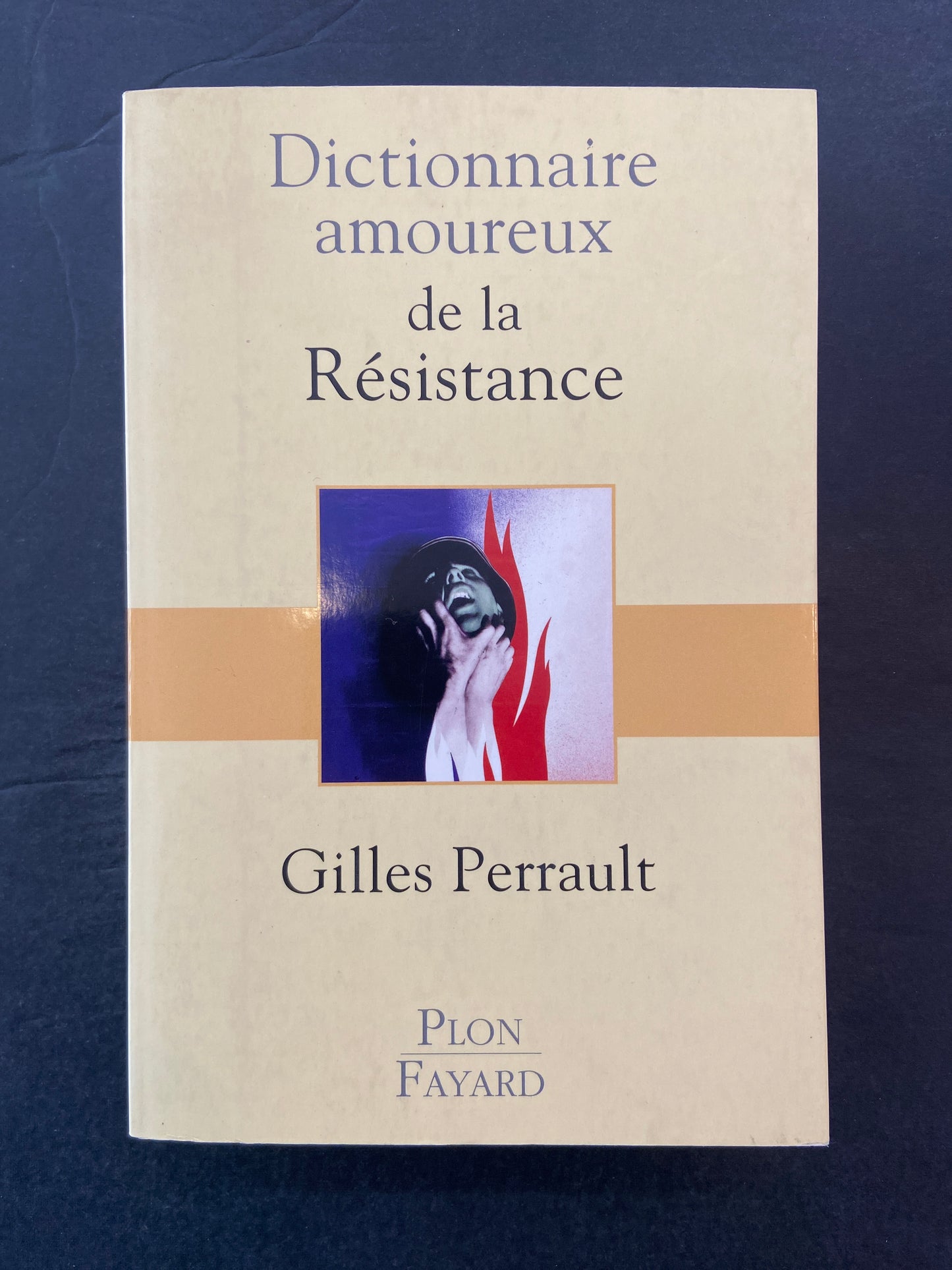 DICTIONNAIRE AMOUREUX DE LA RÉSISTANCE